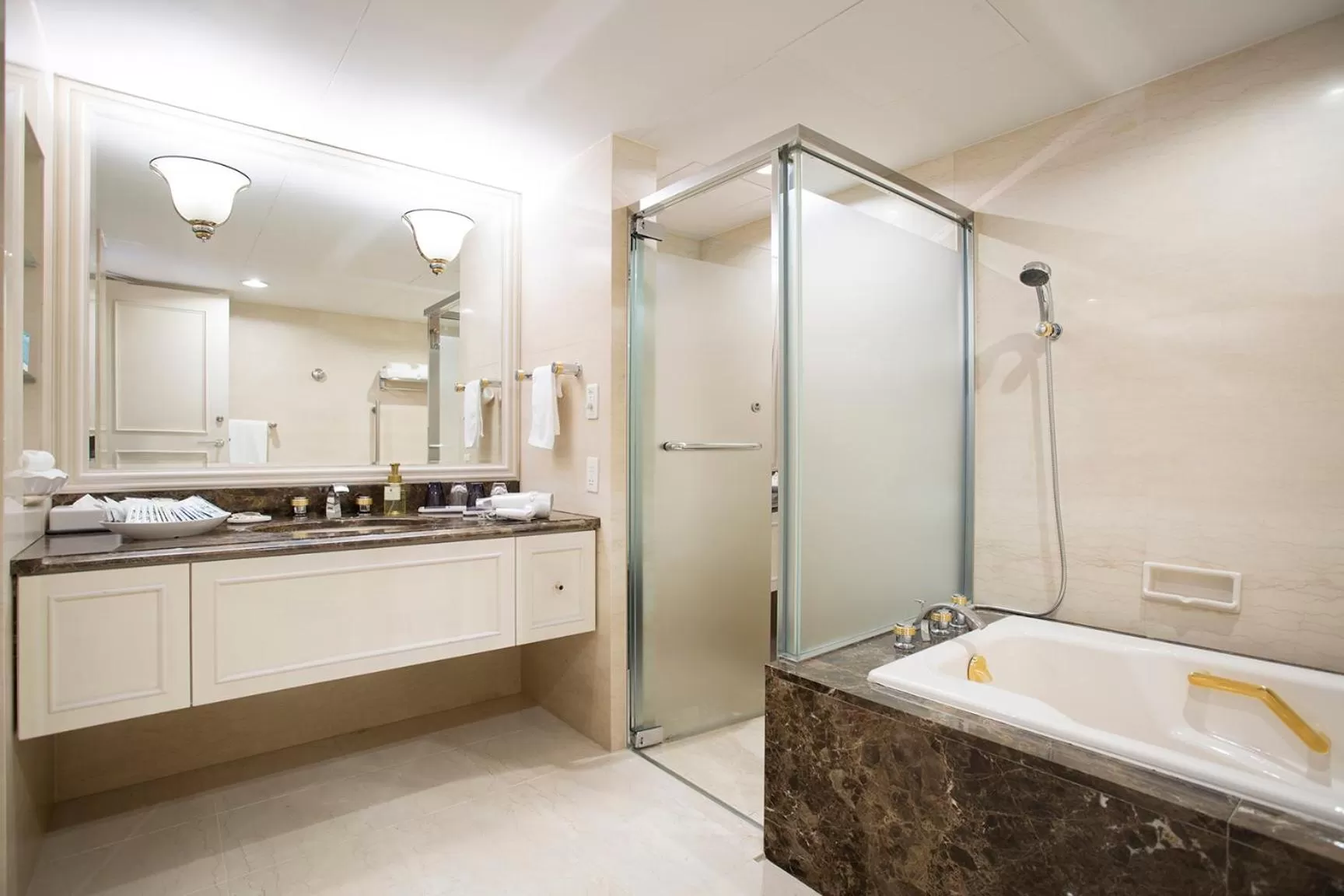 Bathroom in Hotel Nikko Kansai Airport - 3 mins walk to the airport