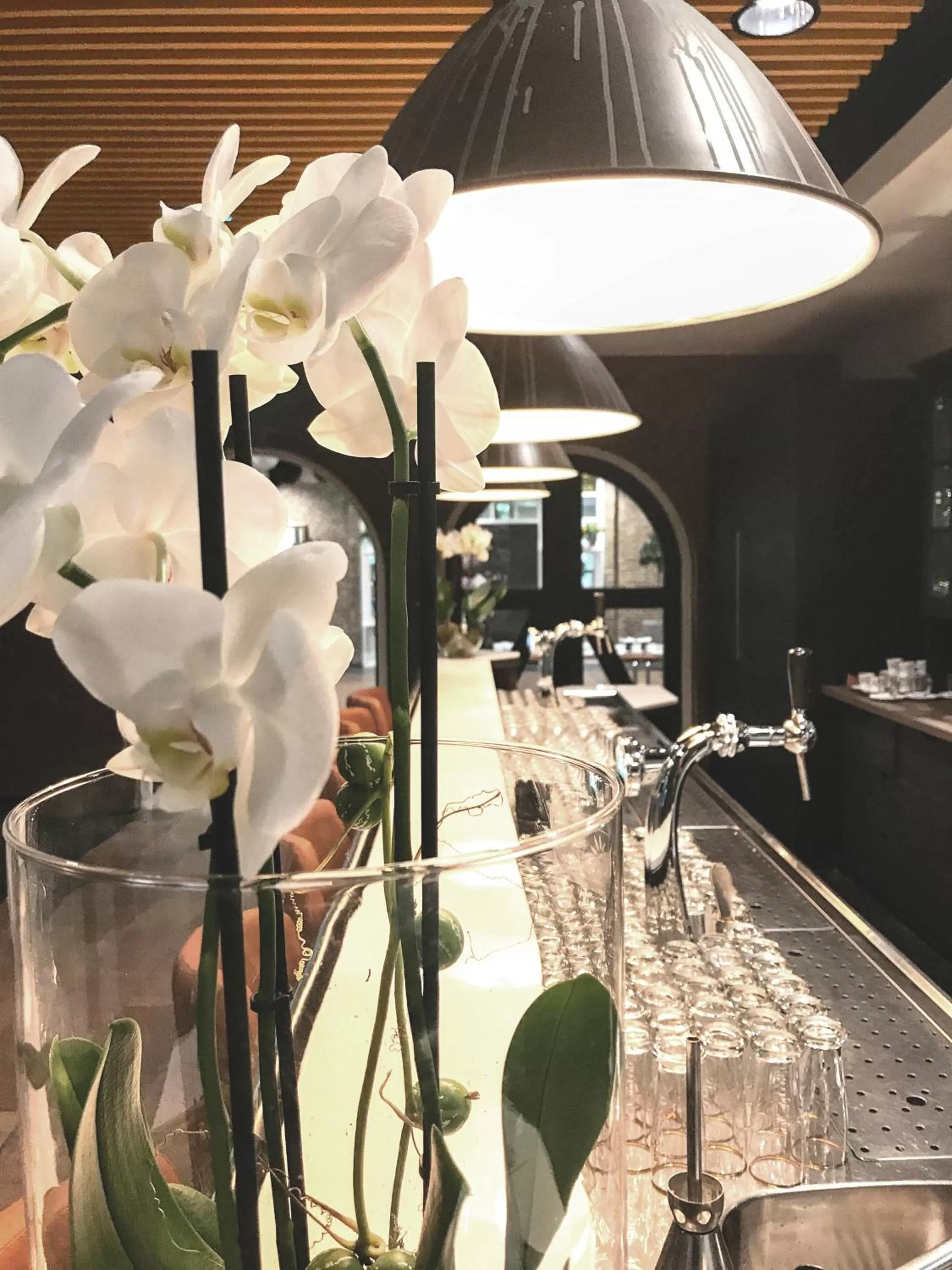 Drinks in Hotel De Druiventros