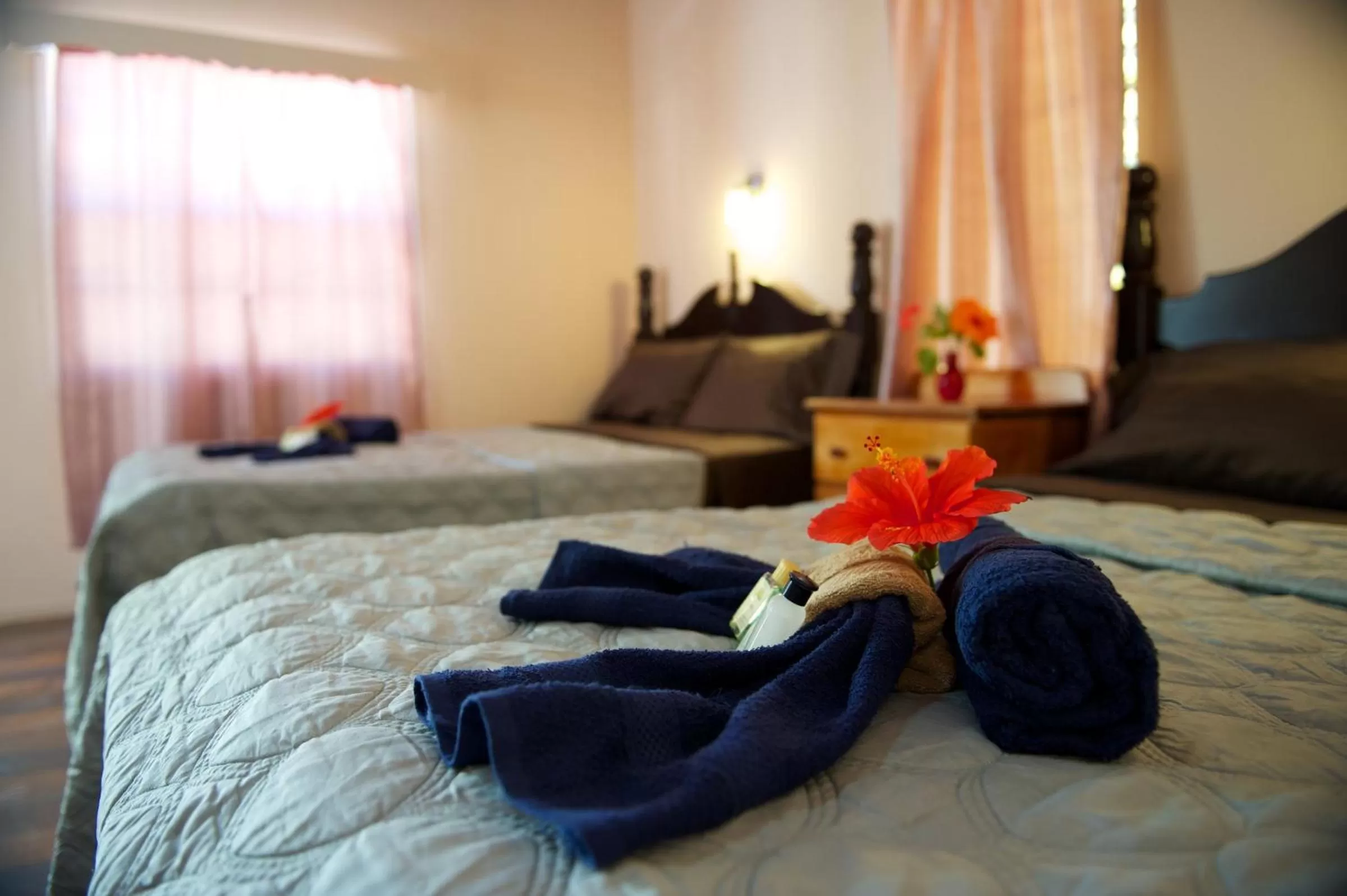 Photo of the whole room, Bed in Tropical Paradise