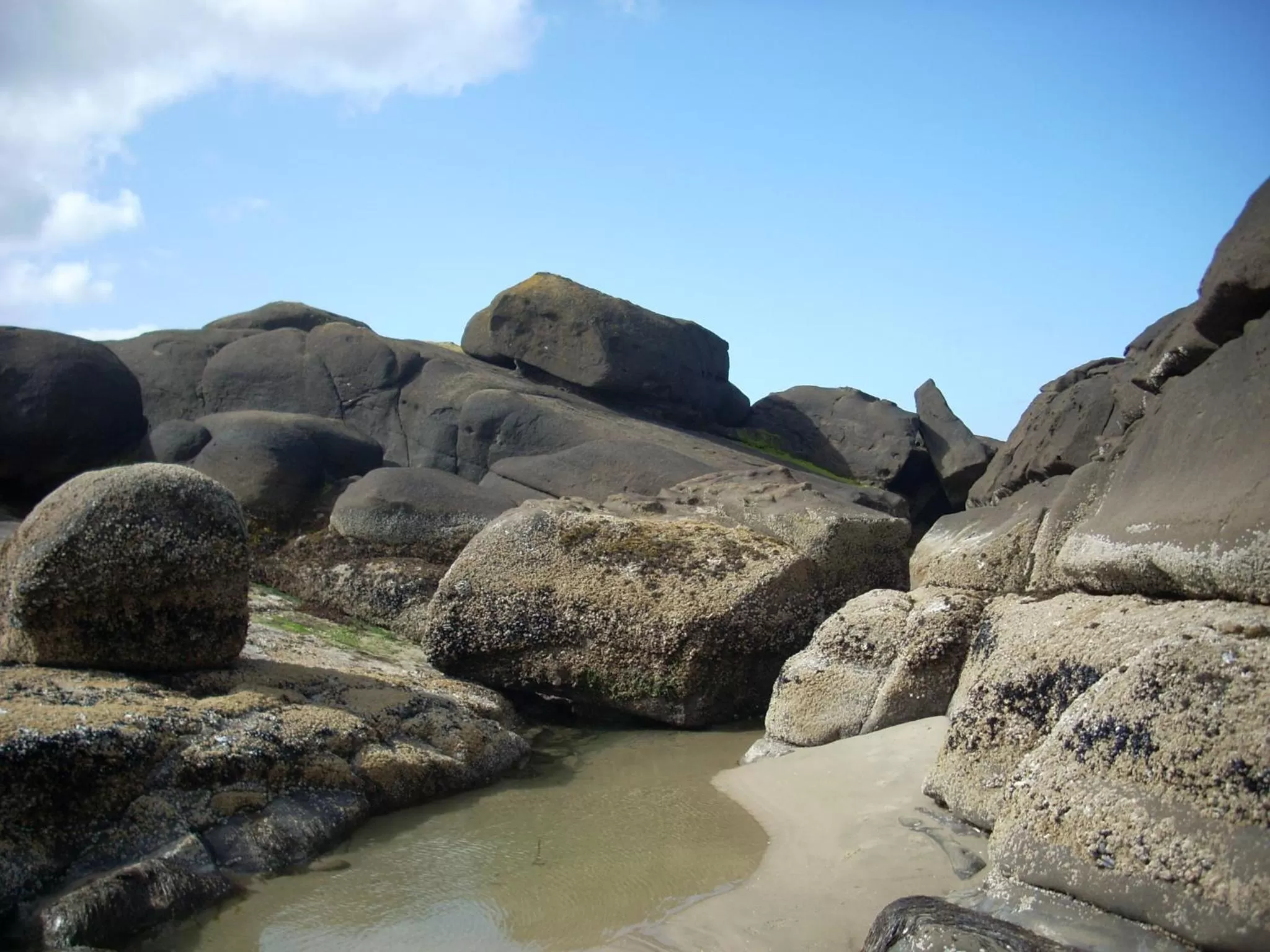 Sea view in Silver Surf Motel