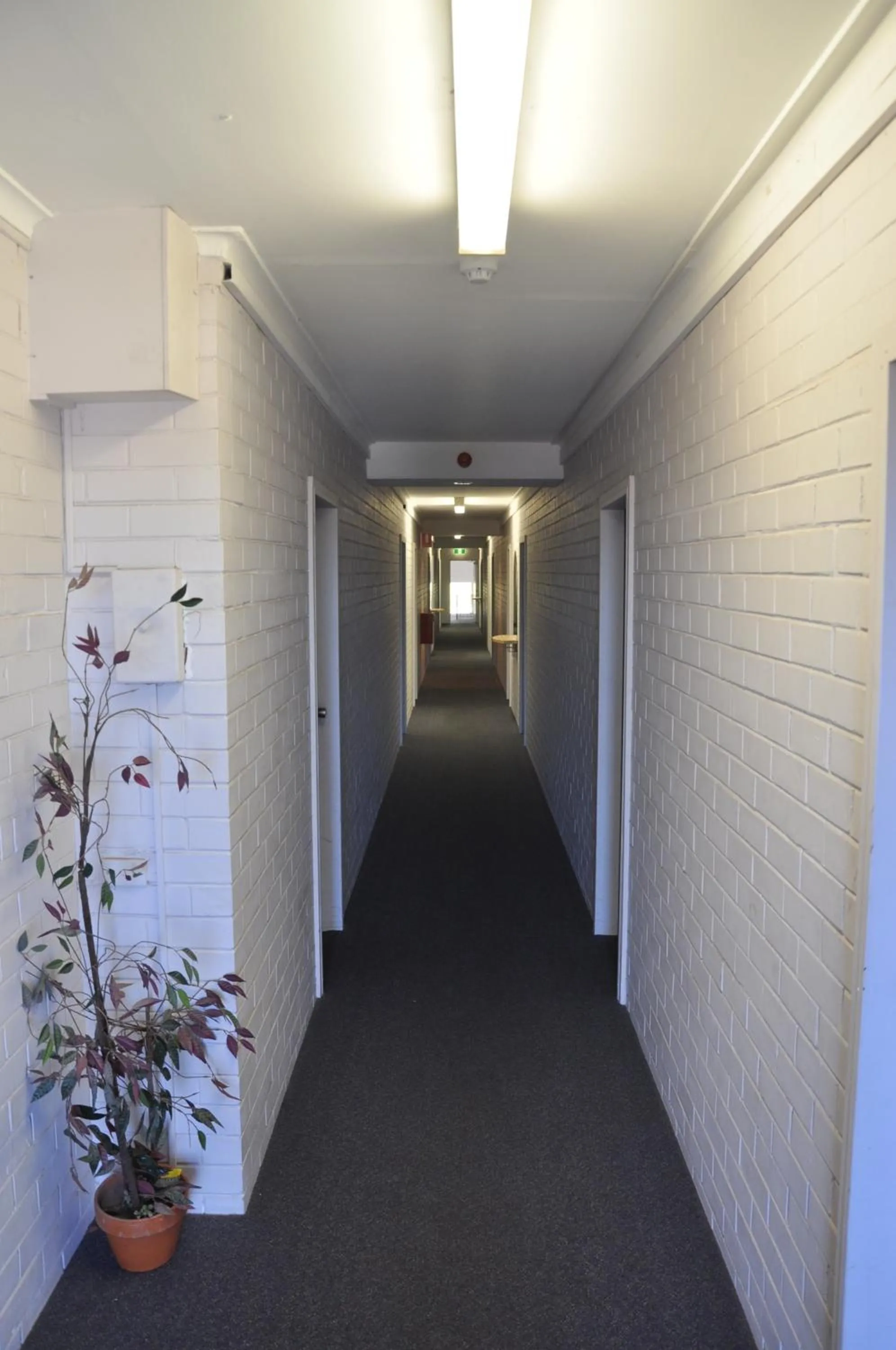 Decorative detail in H & D Apartments