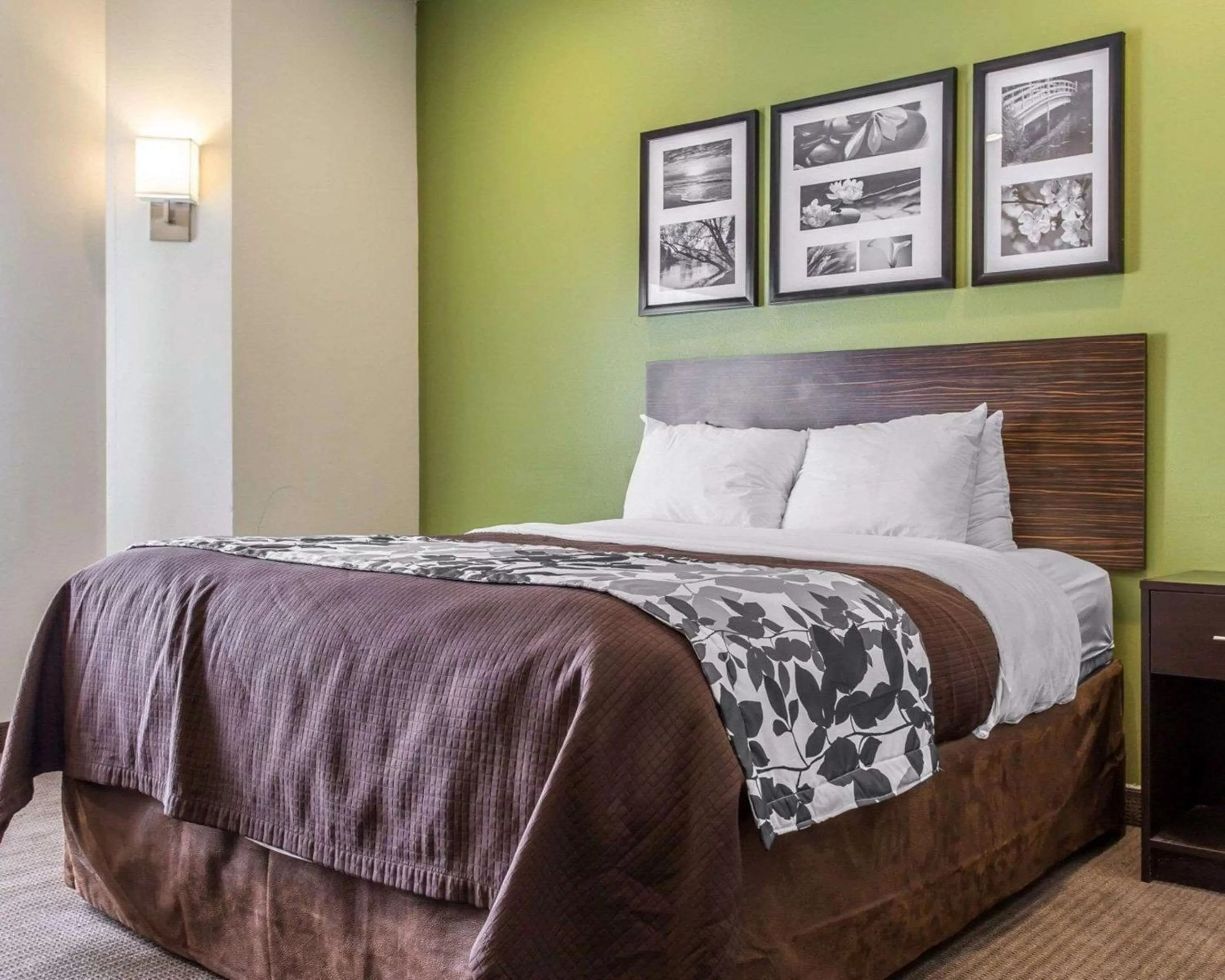 Photo of the whole room, Bed in Sleep Inn Columbia