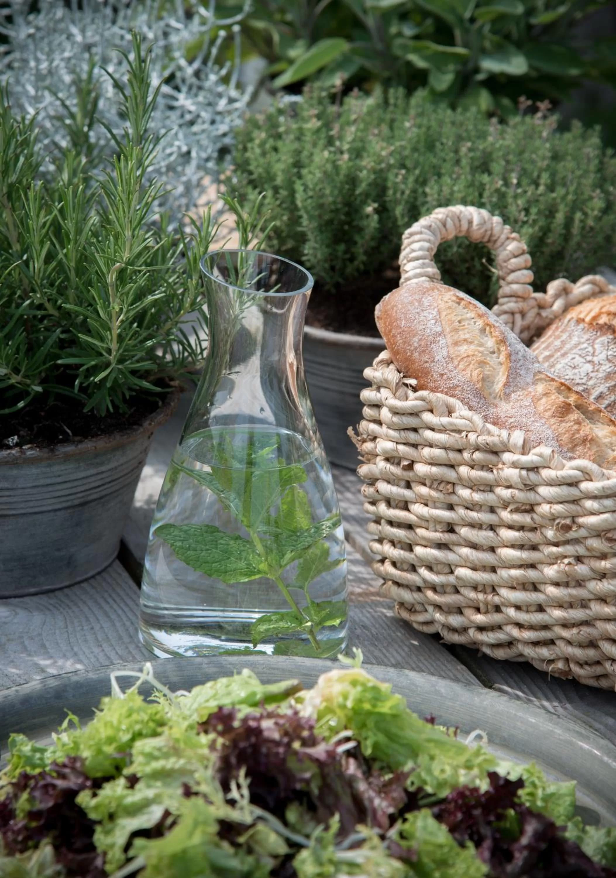 Patio in Hotel Zonne
