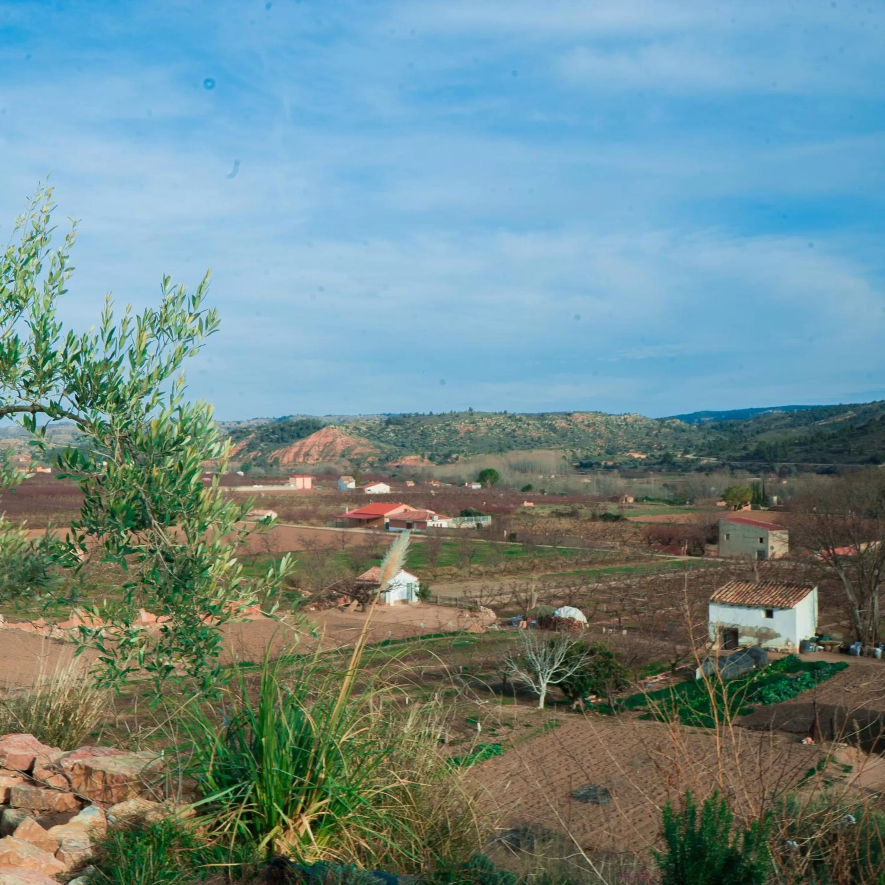 Natural landscape in Cabezo Buñuel Hostal