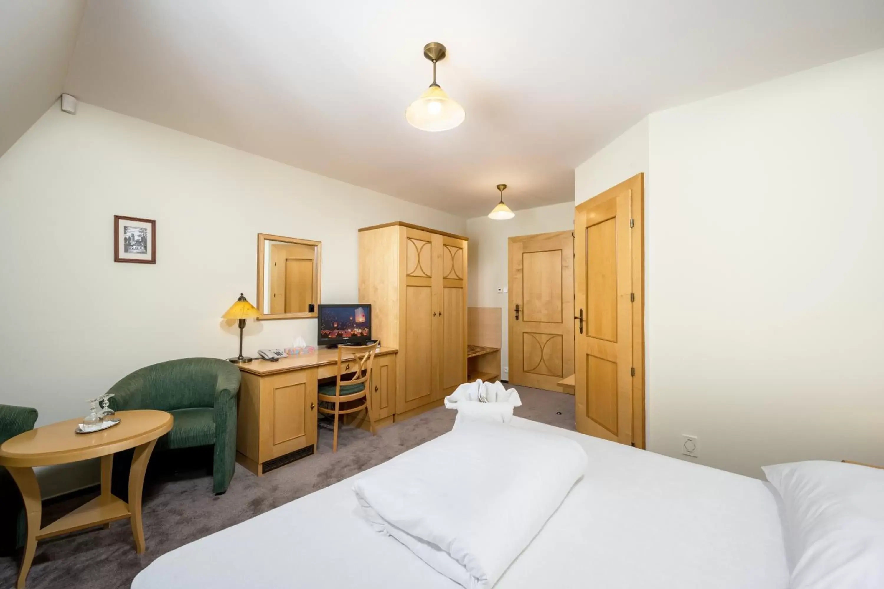 Single Room - single occupancy in Hotel Zlaty Lev Single Room - single occupancy in Hotel Zlaty Lev