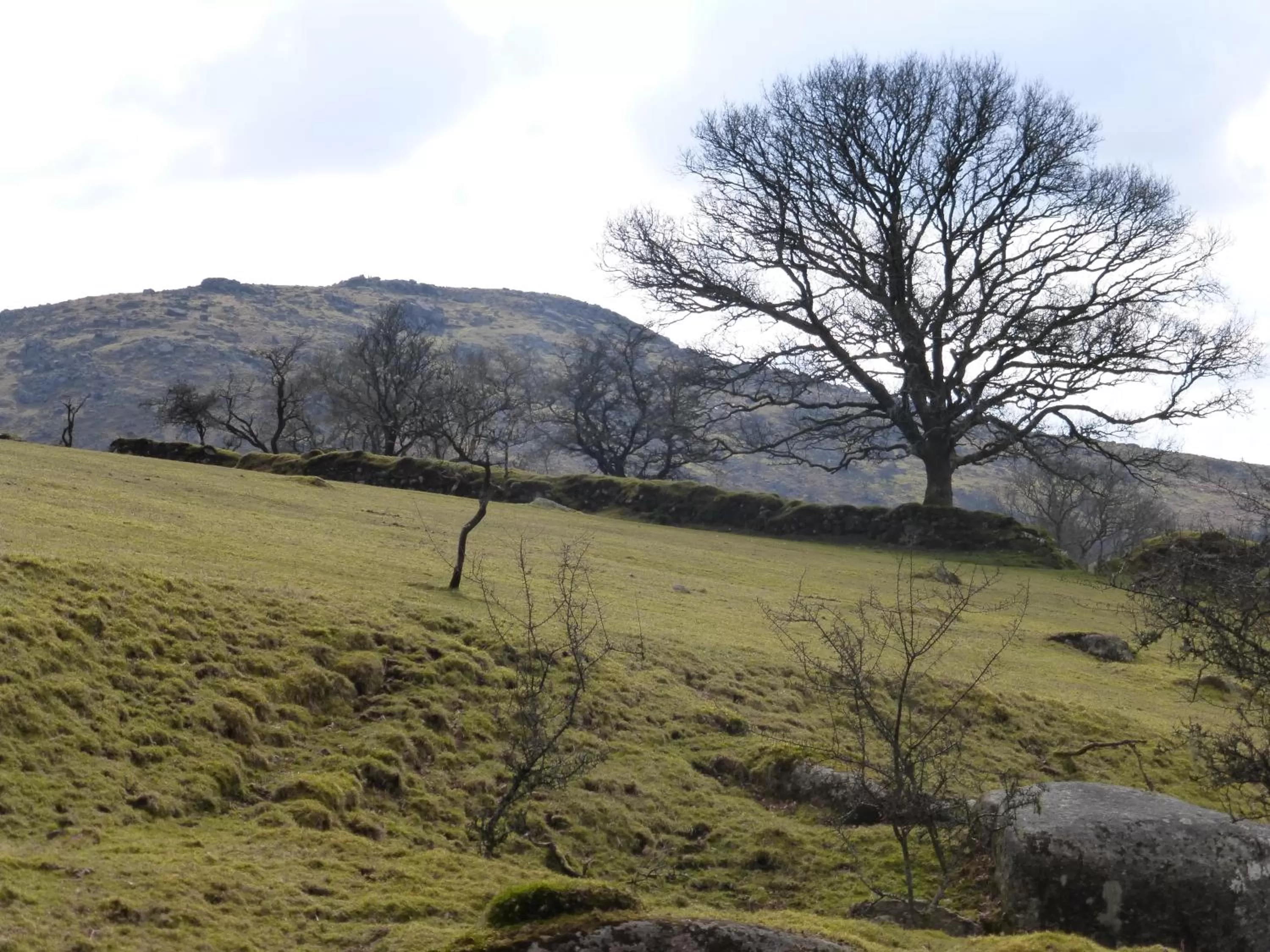 Natural landscape in Barnabas House