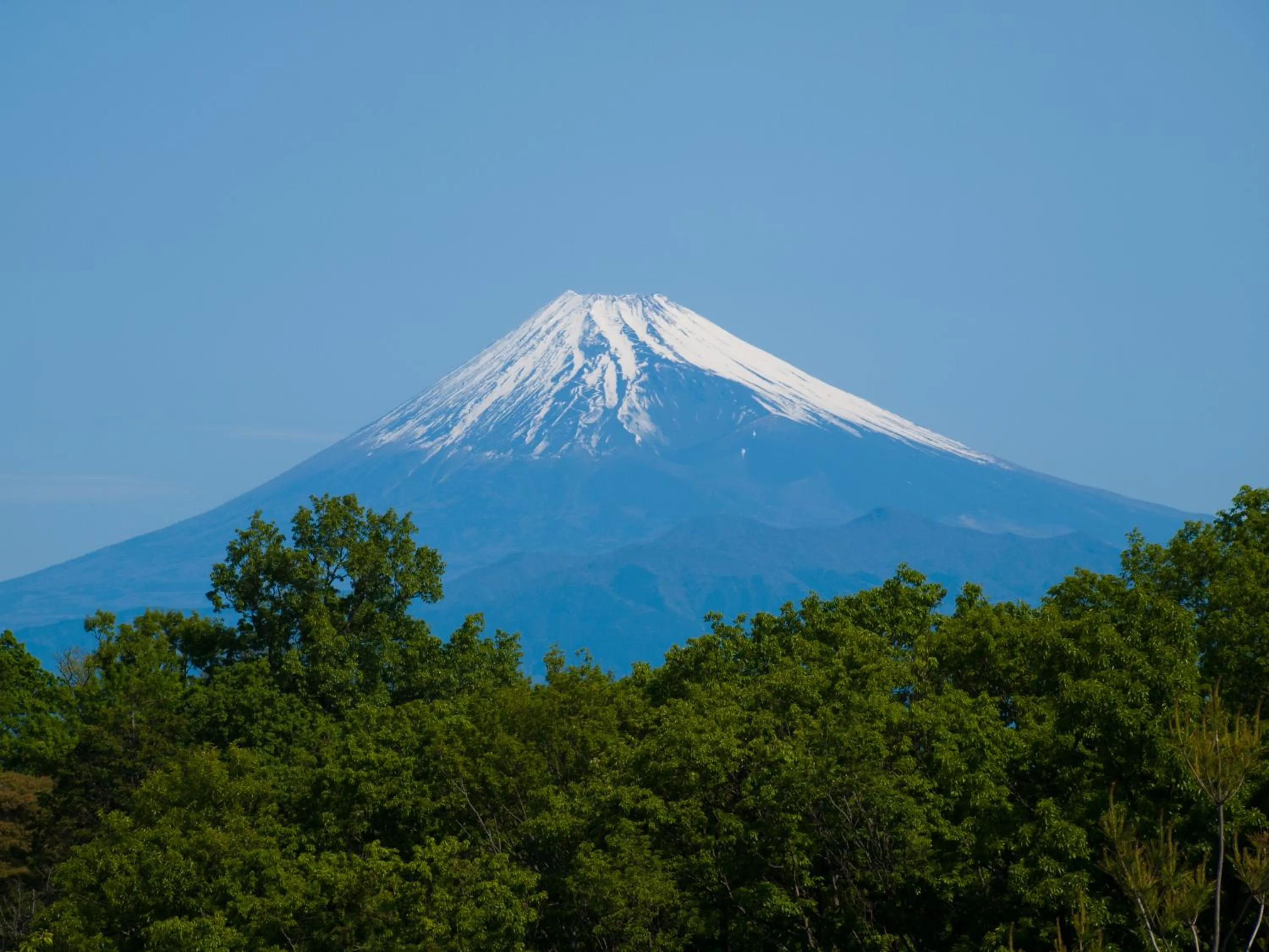 Mountain view in Hotel Laforet Shuzenji
