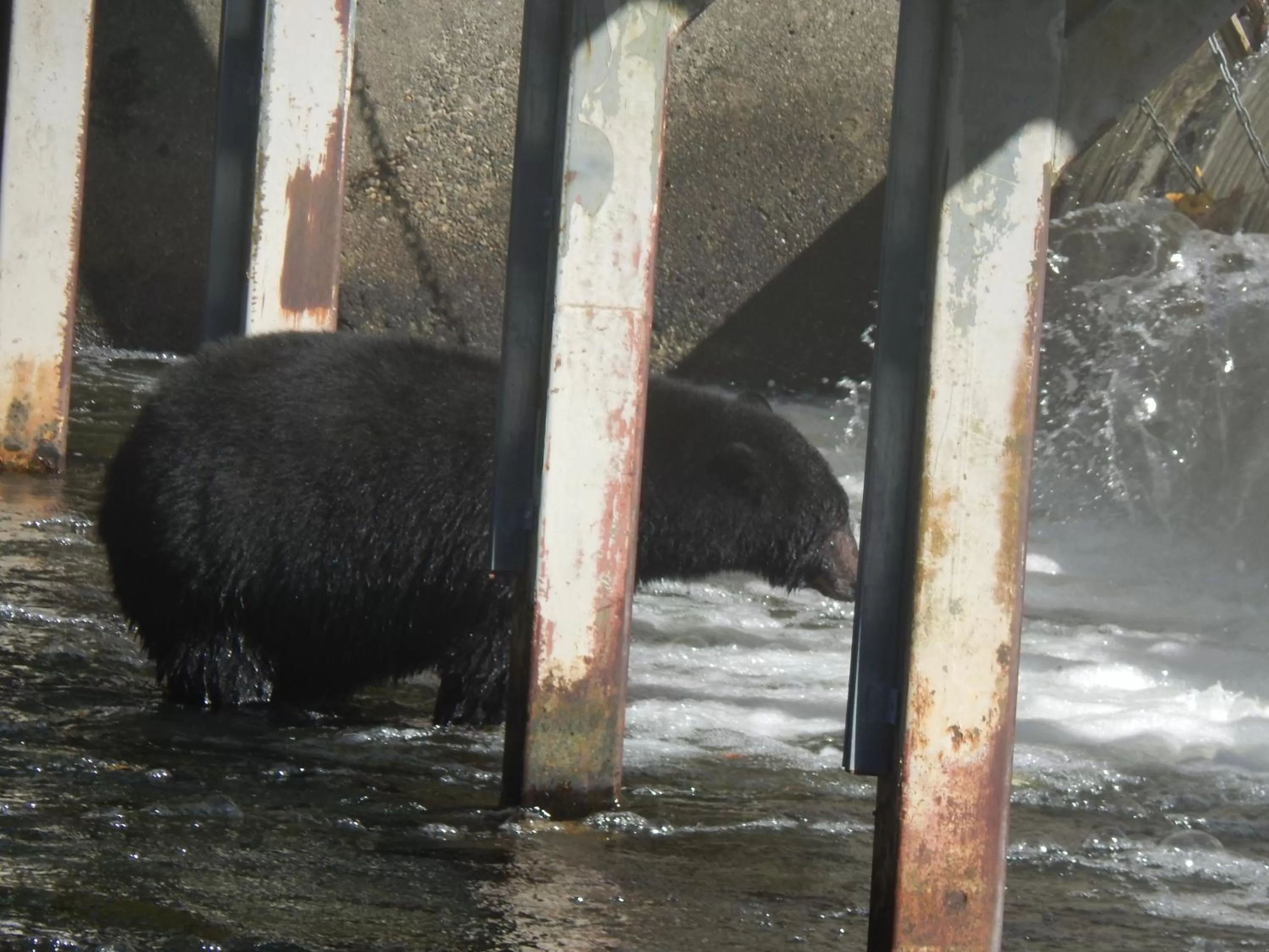 Off site in Money Pennies Bed and Breakfast