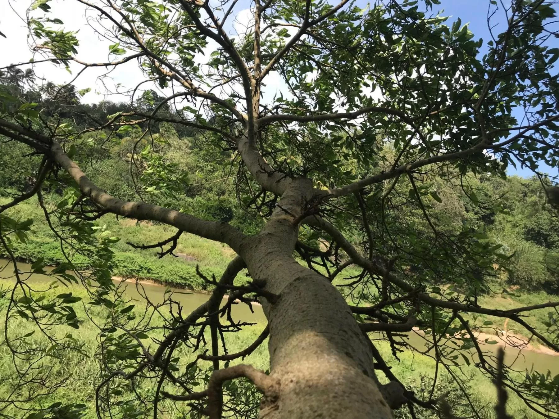 Other Animals in Kandy Rivers Edge Nature Resort