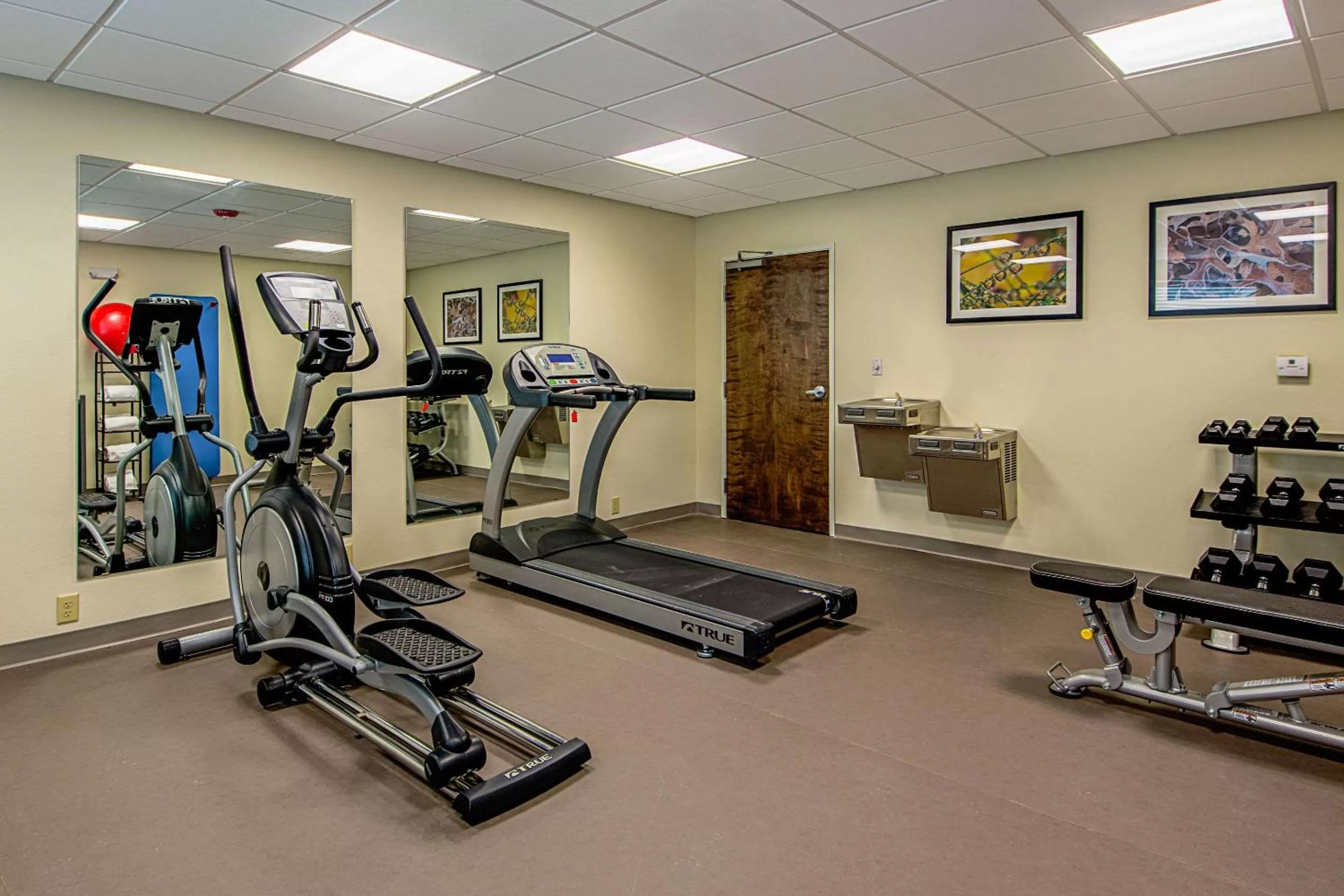 Fitness centre/facilities in MainStay Suites Geismar - Gonzales