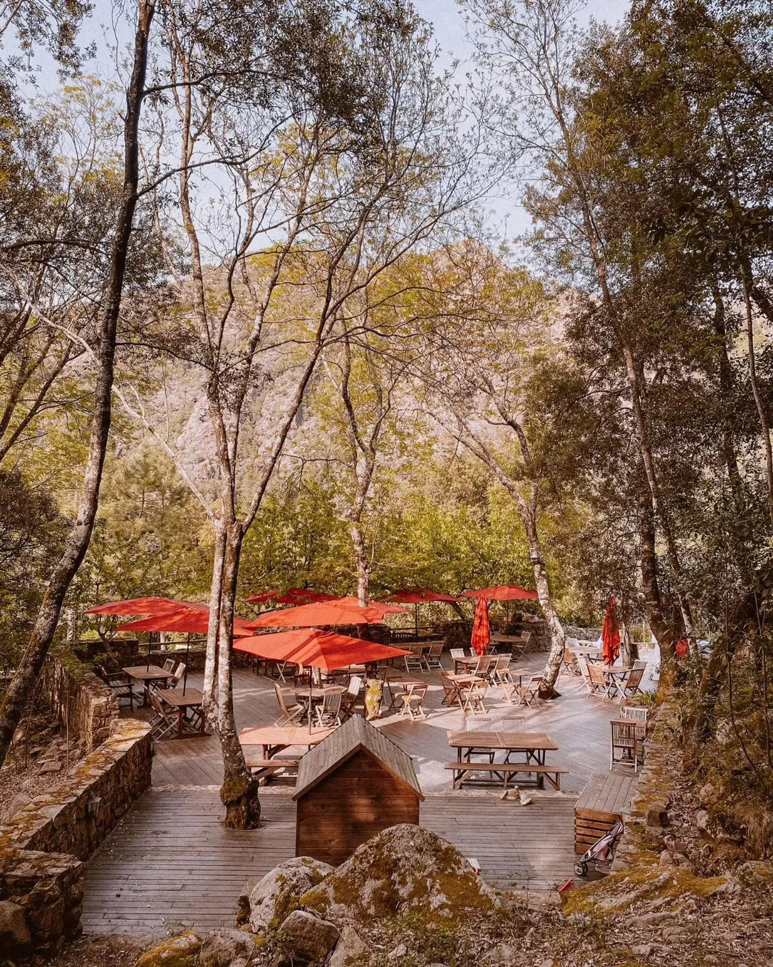 Auberge De La Foret Bonifatu