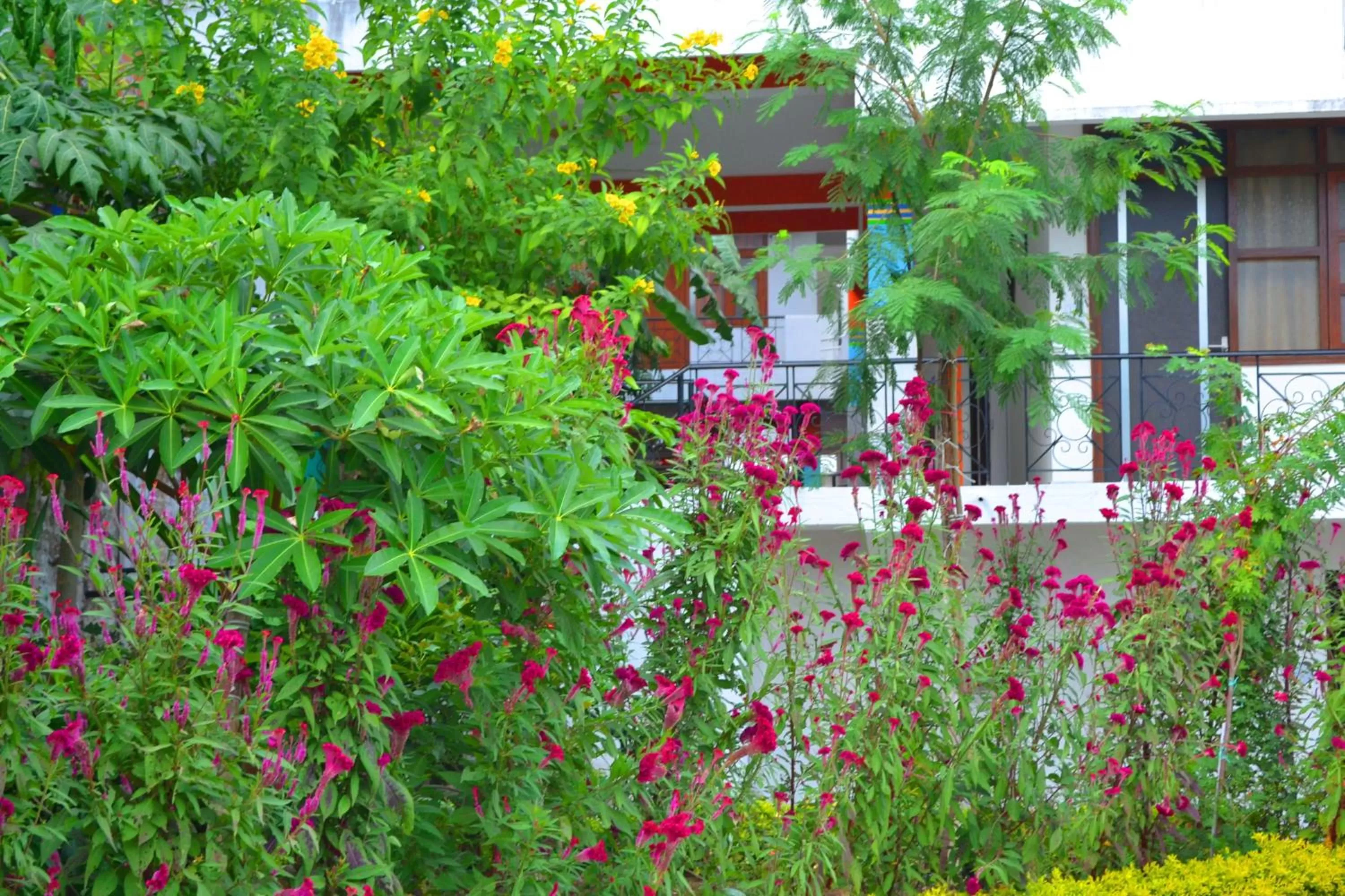 Day in Hotel Harmony