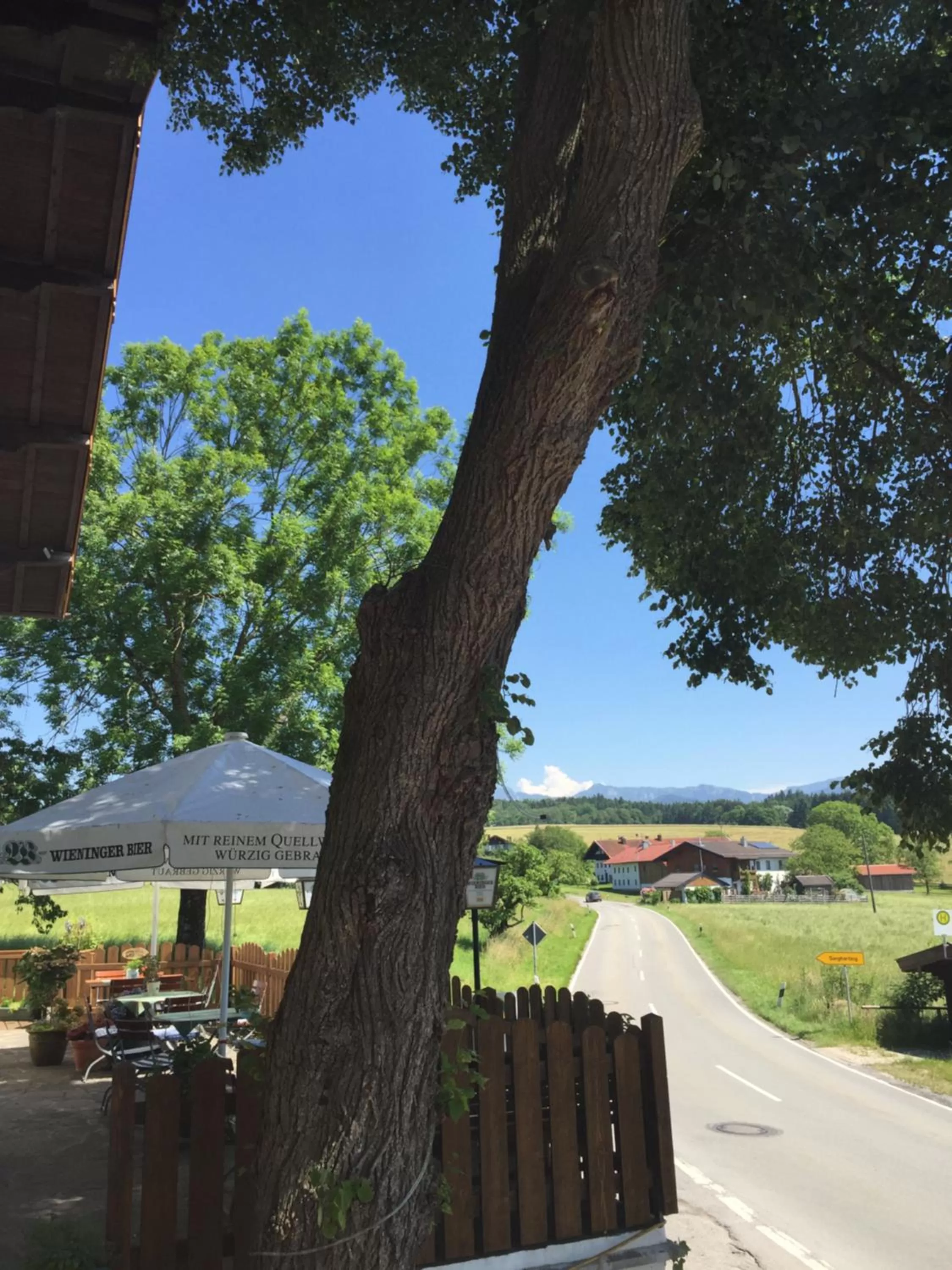 Garden in Hotel Alpenblick