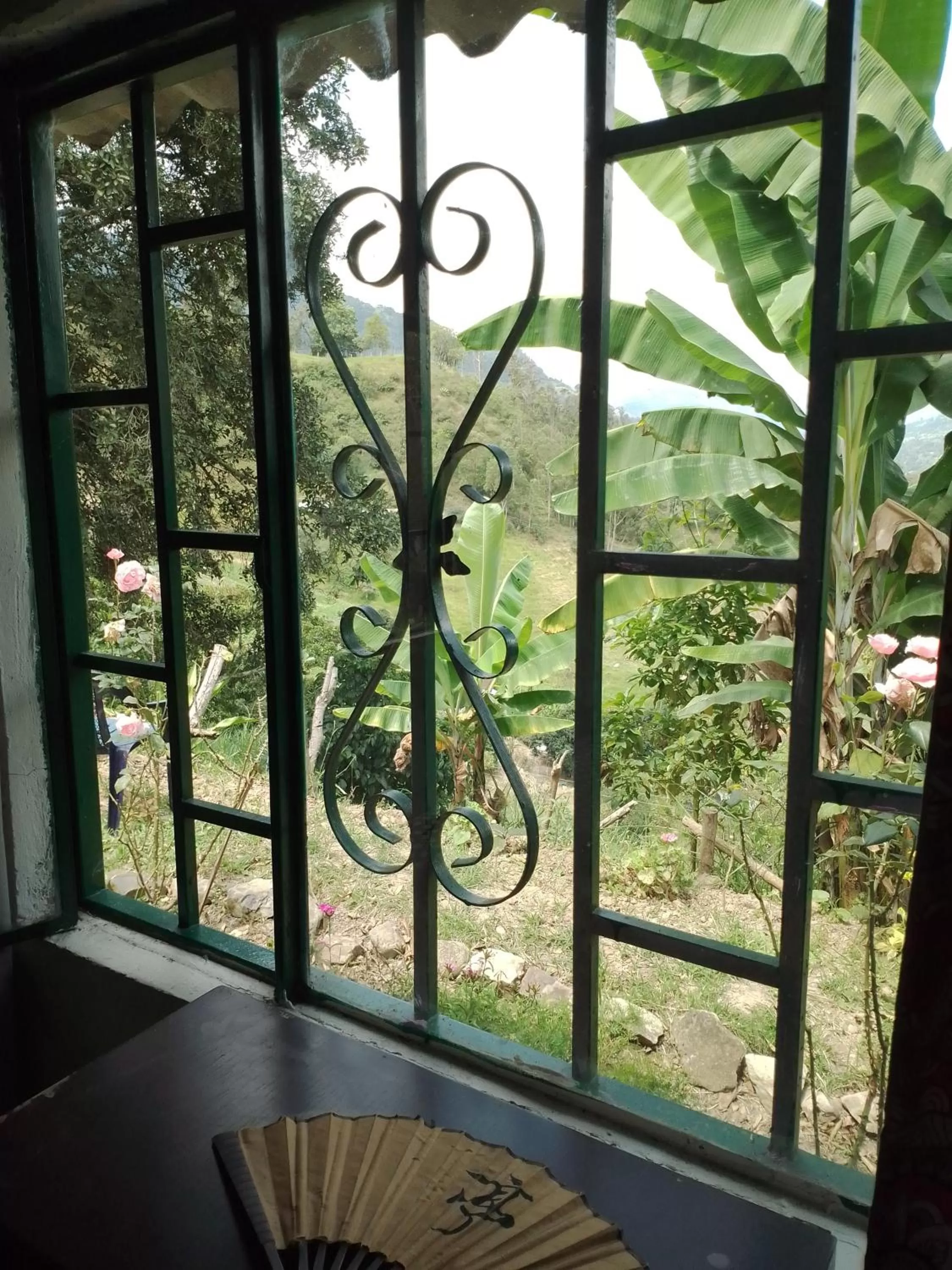 Garden view in Finca Umnisa - Choachi