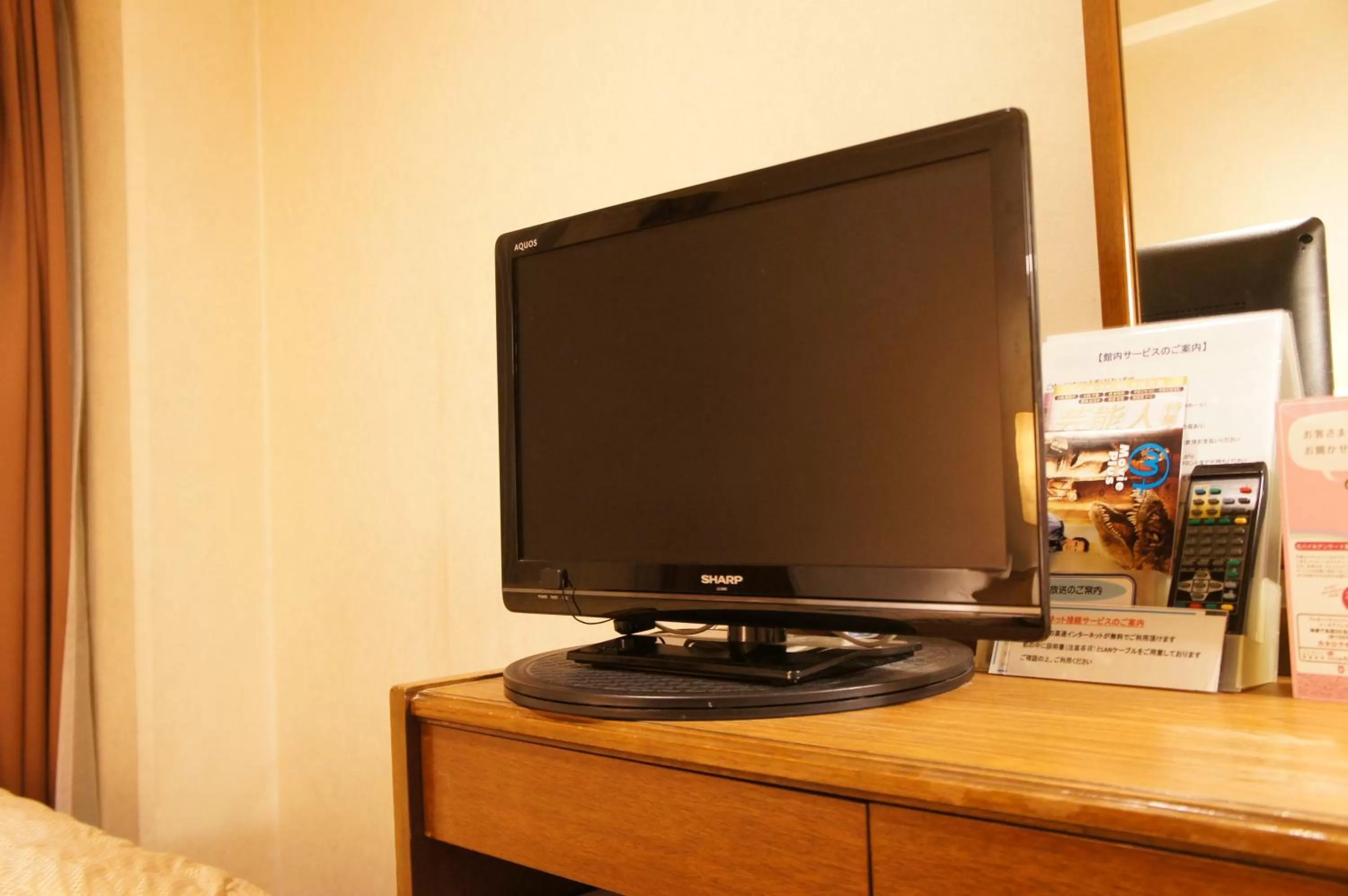 TV and multimedia in Hotel Aisul Matsuyama