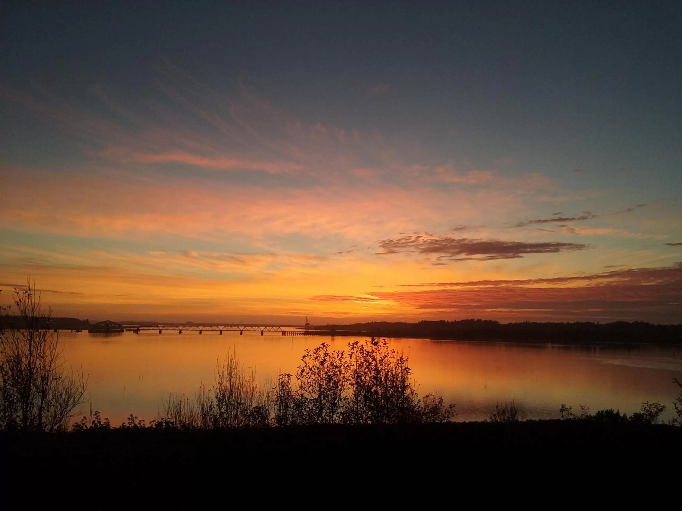 Natural landscape in Bay Bridge Motel