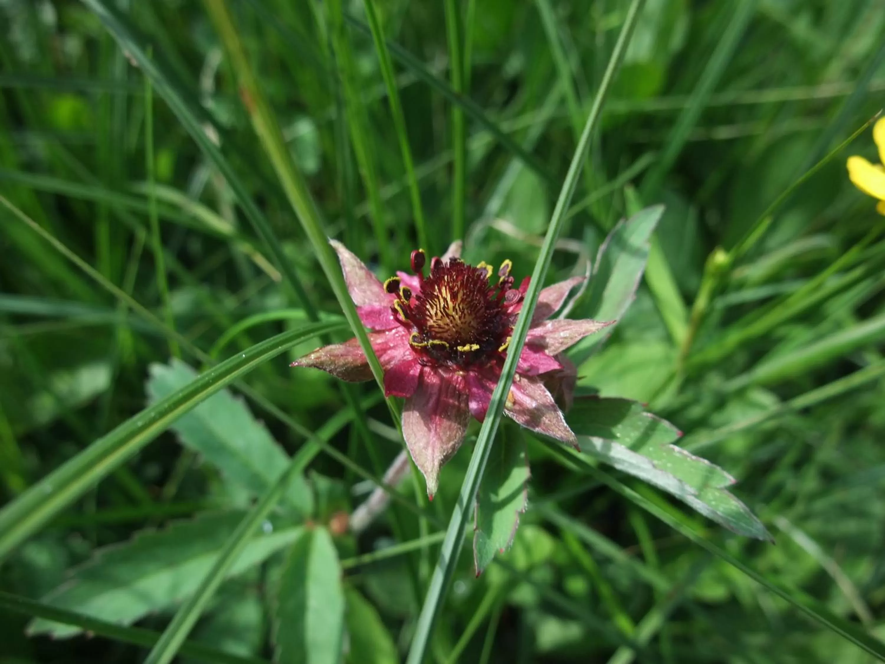 Staff, Other Animals in Schätzlhof
