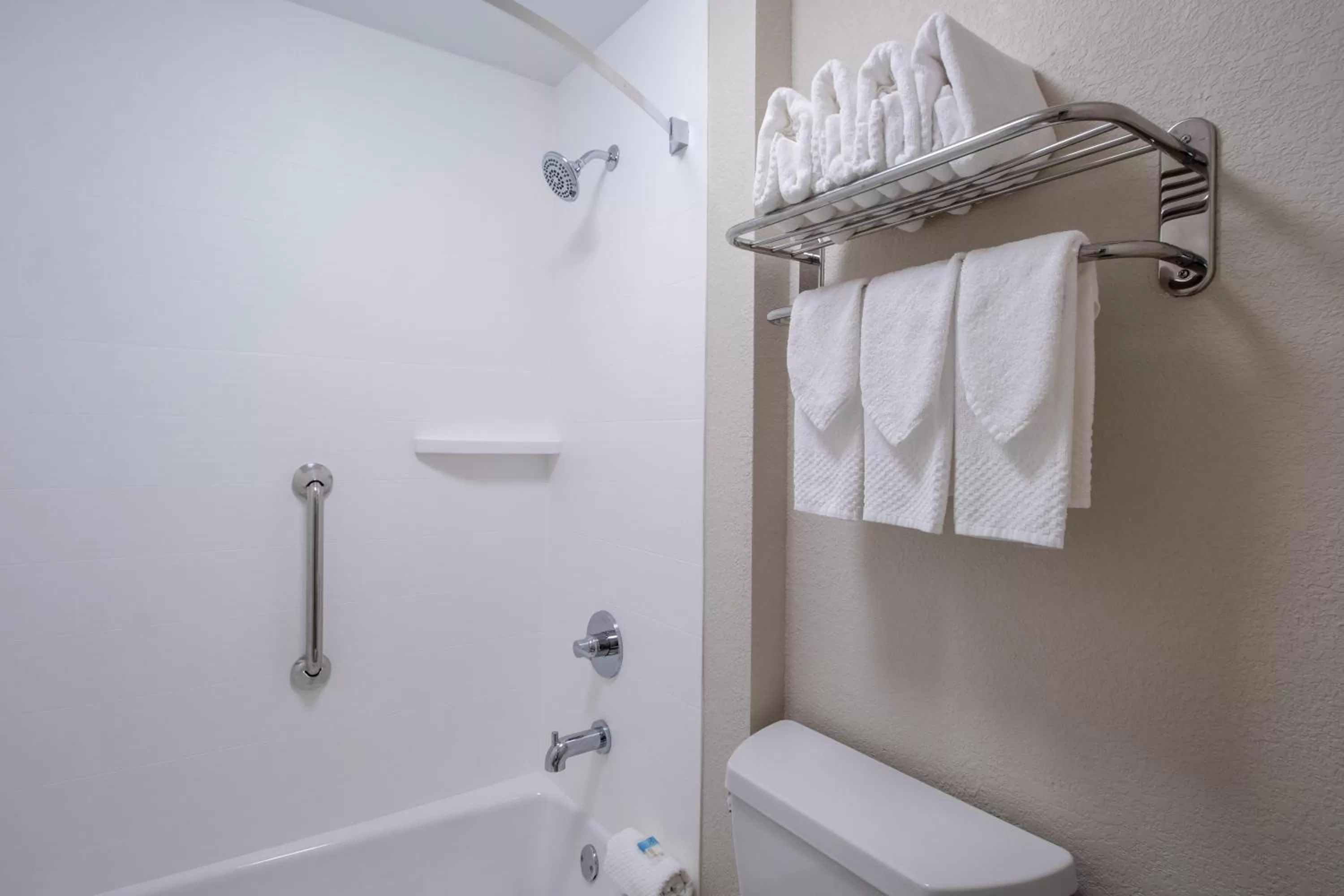 Shower in Econo Lodge Inn & Suites Foley-North Gulf Shores