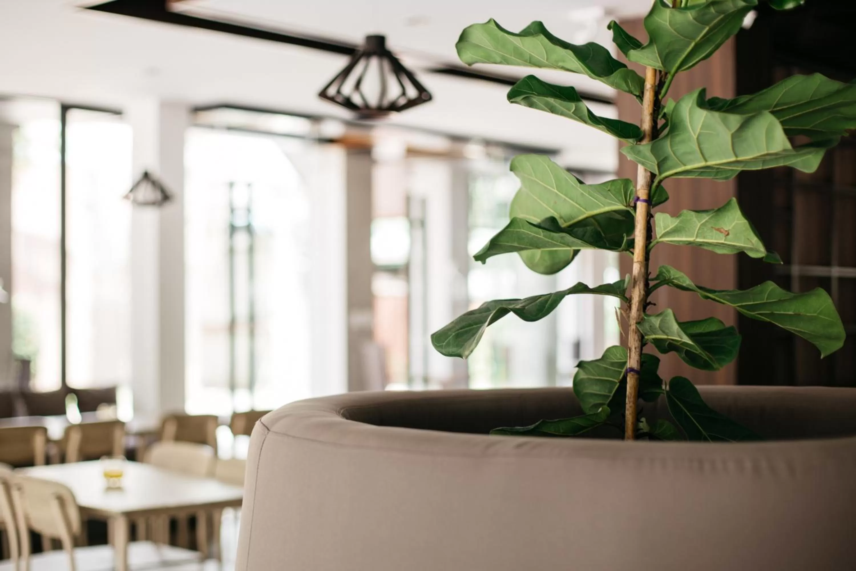 Restaurant/places to eat in Diamond Park Inn Chiangrai & Resort