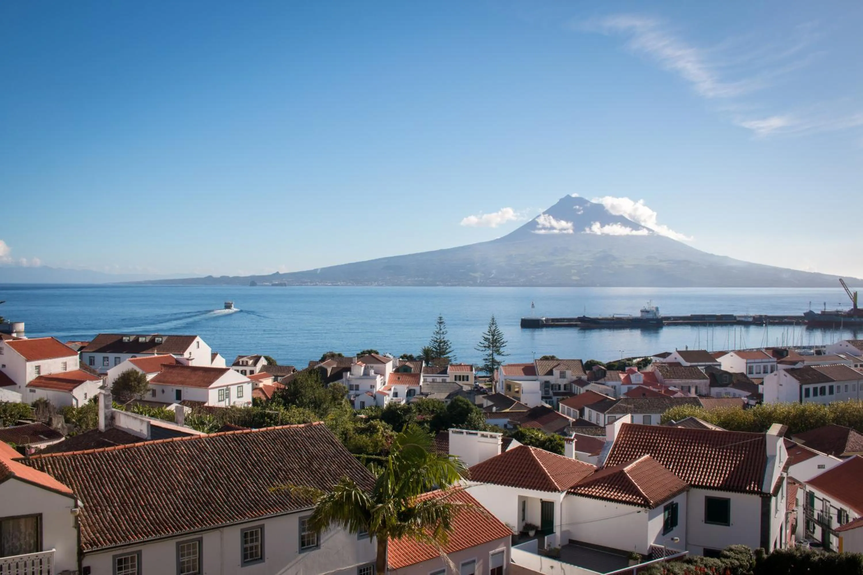 Sea view in Hotel Horta