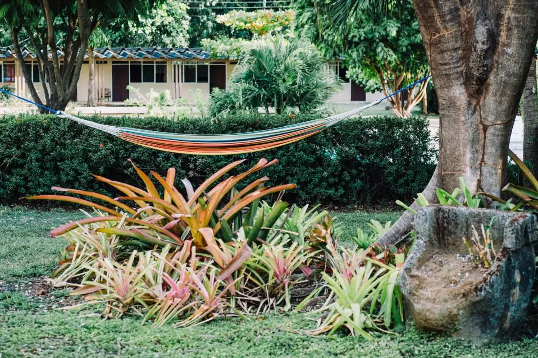 Day in Hotel Diriá Santa Cruz