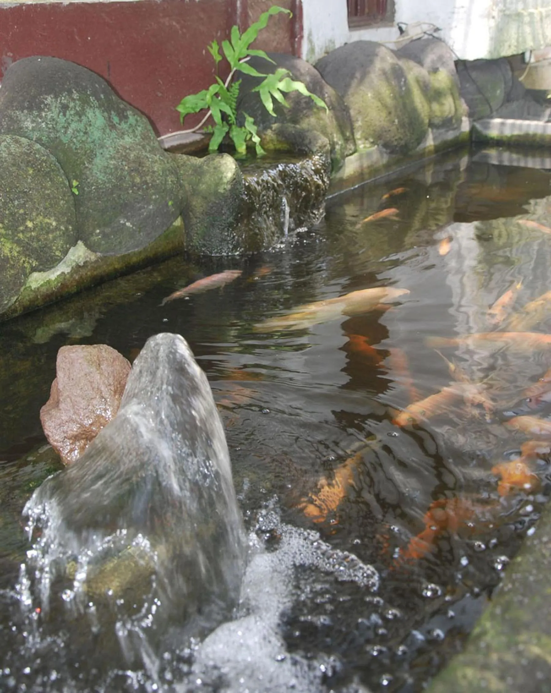 Garden view in Bulan Bali Homestay