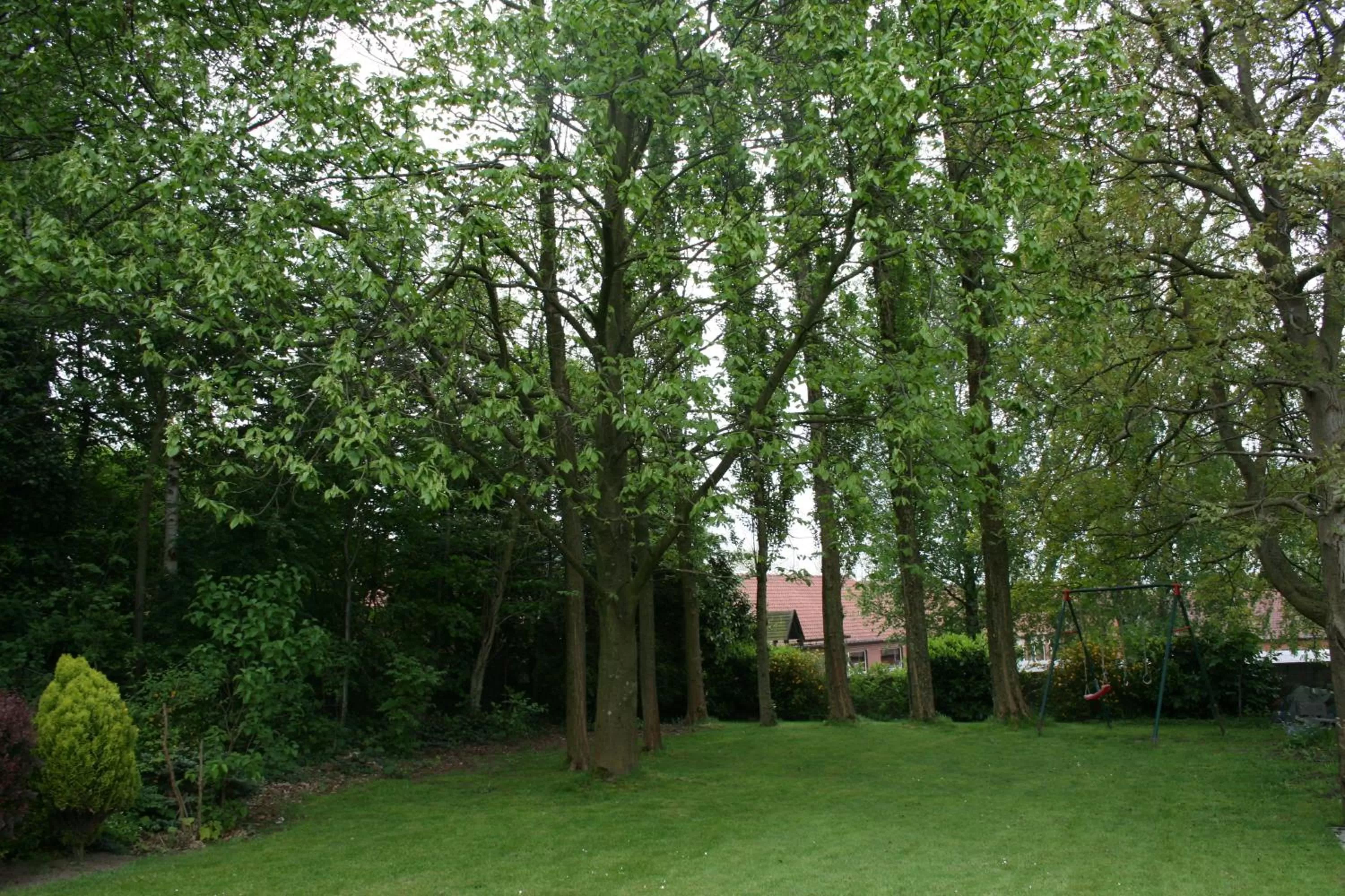 Garden in B&B La Chapelle Au Puits