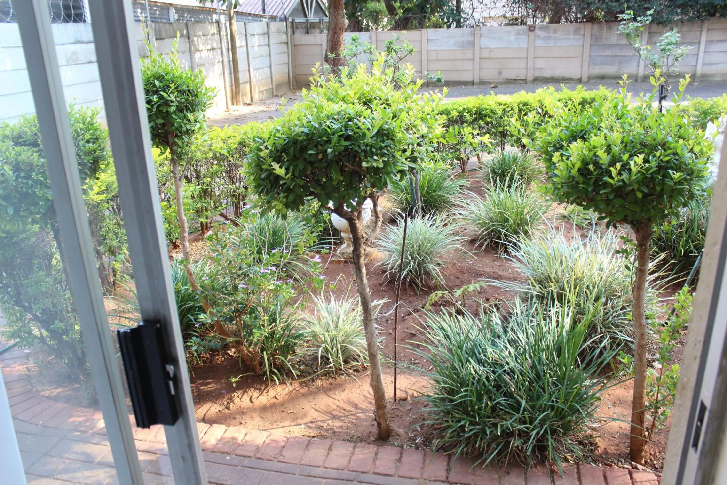 Garden in Purple Olive Guest House