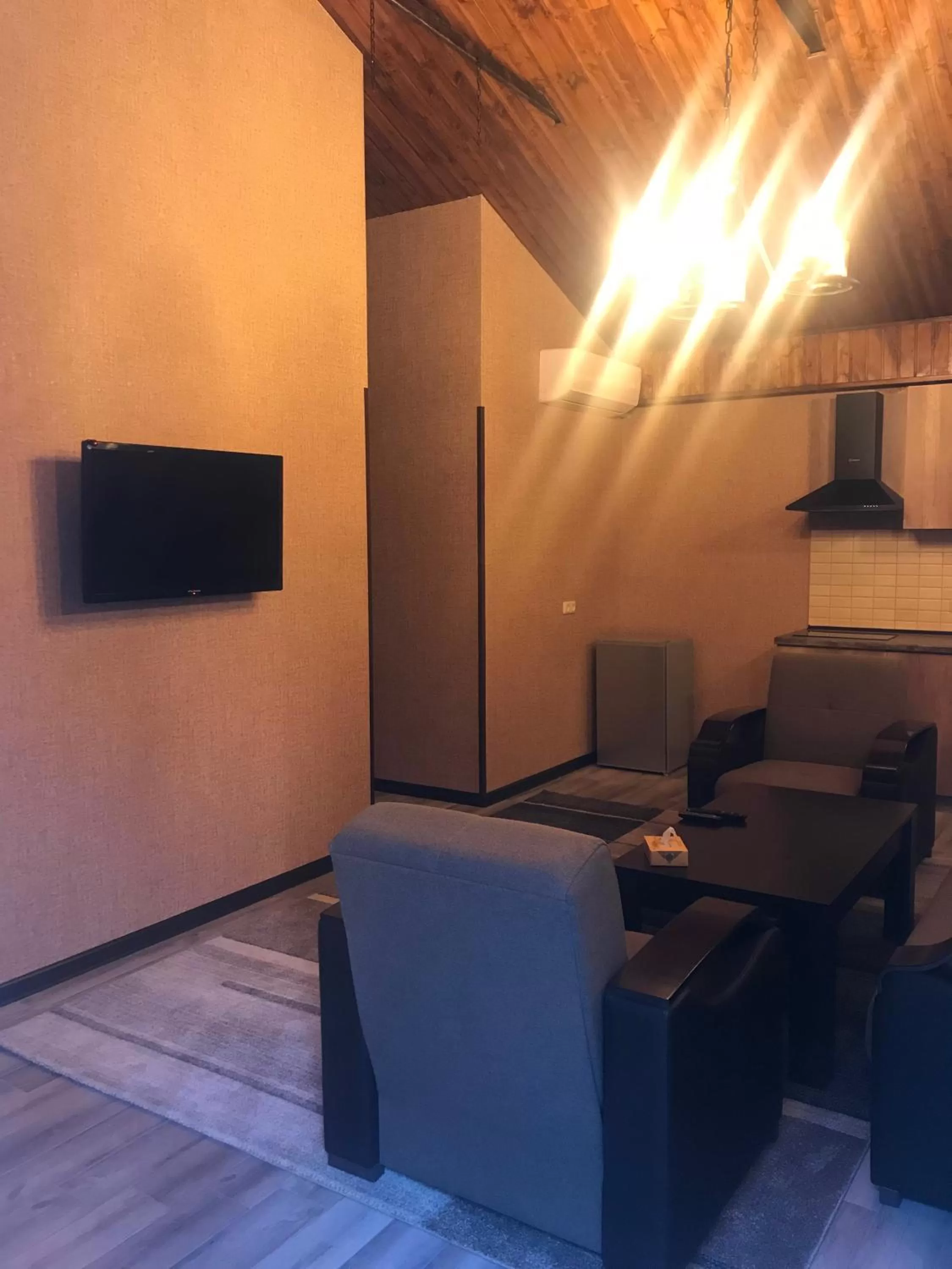 Kitchen or kitchenette, TV/Entertainment Center in Eridana Hotel