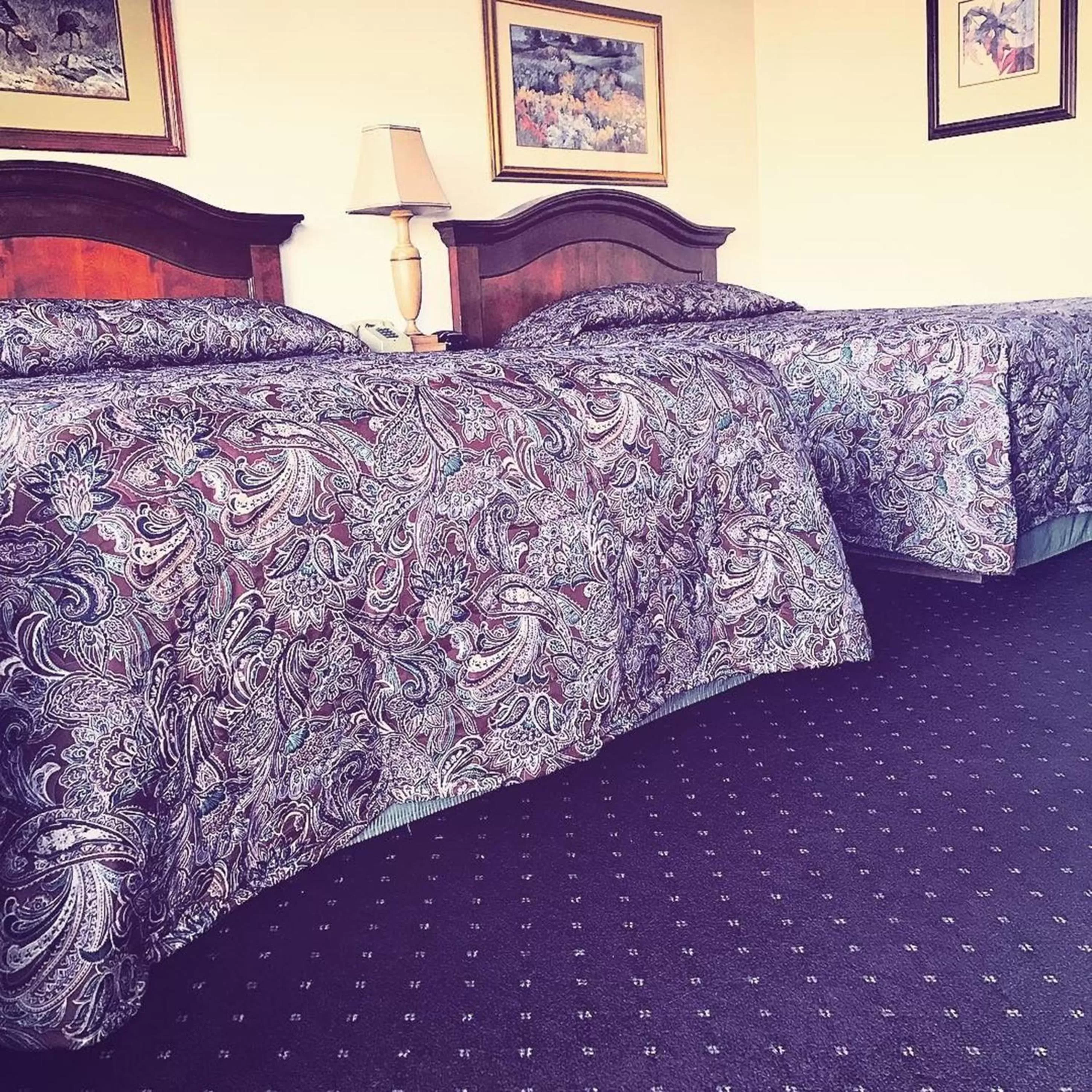 Photo of the whole room, Bed in Budget Inn Express Helena