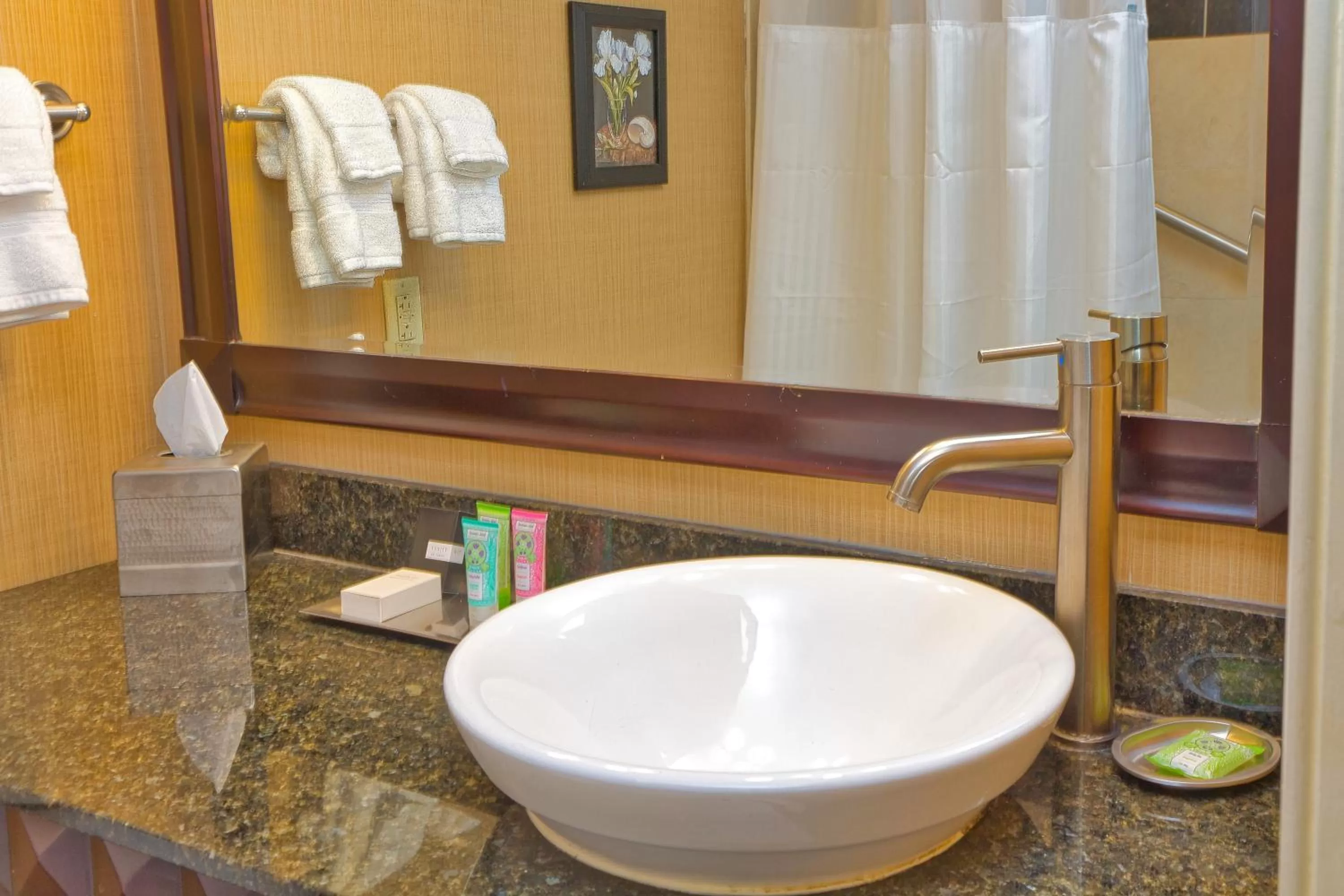 Bathroom in Wyndham Grand Pittsburgh