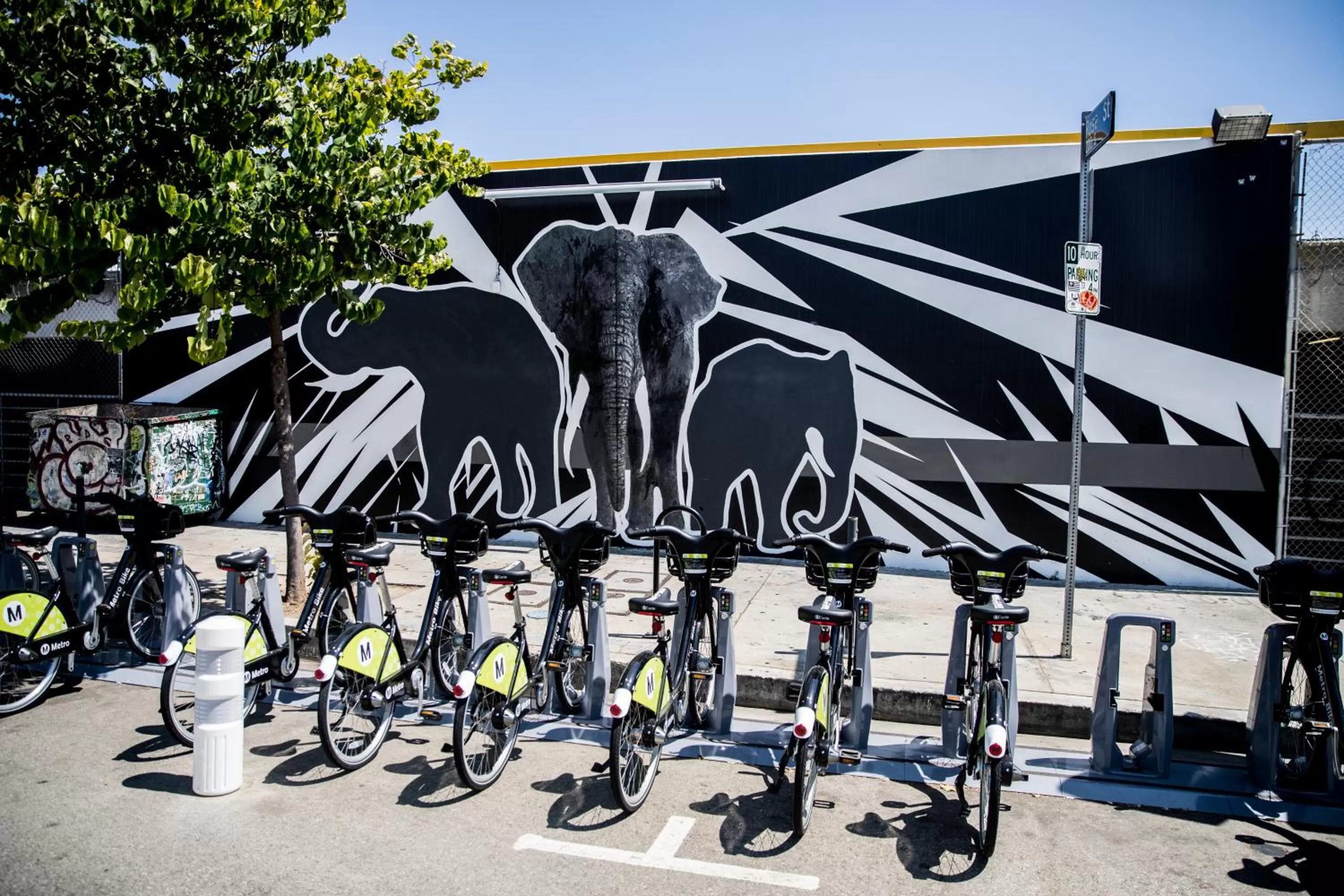 Activities in American Hotel