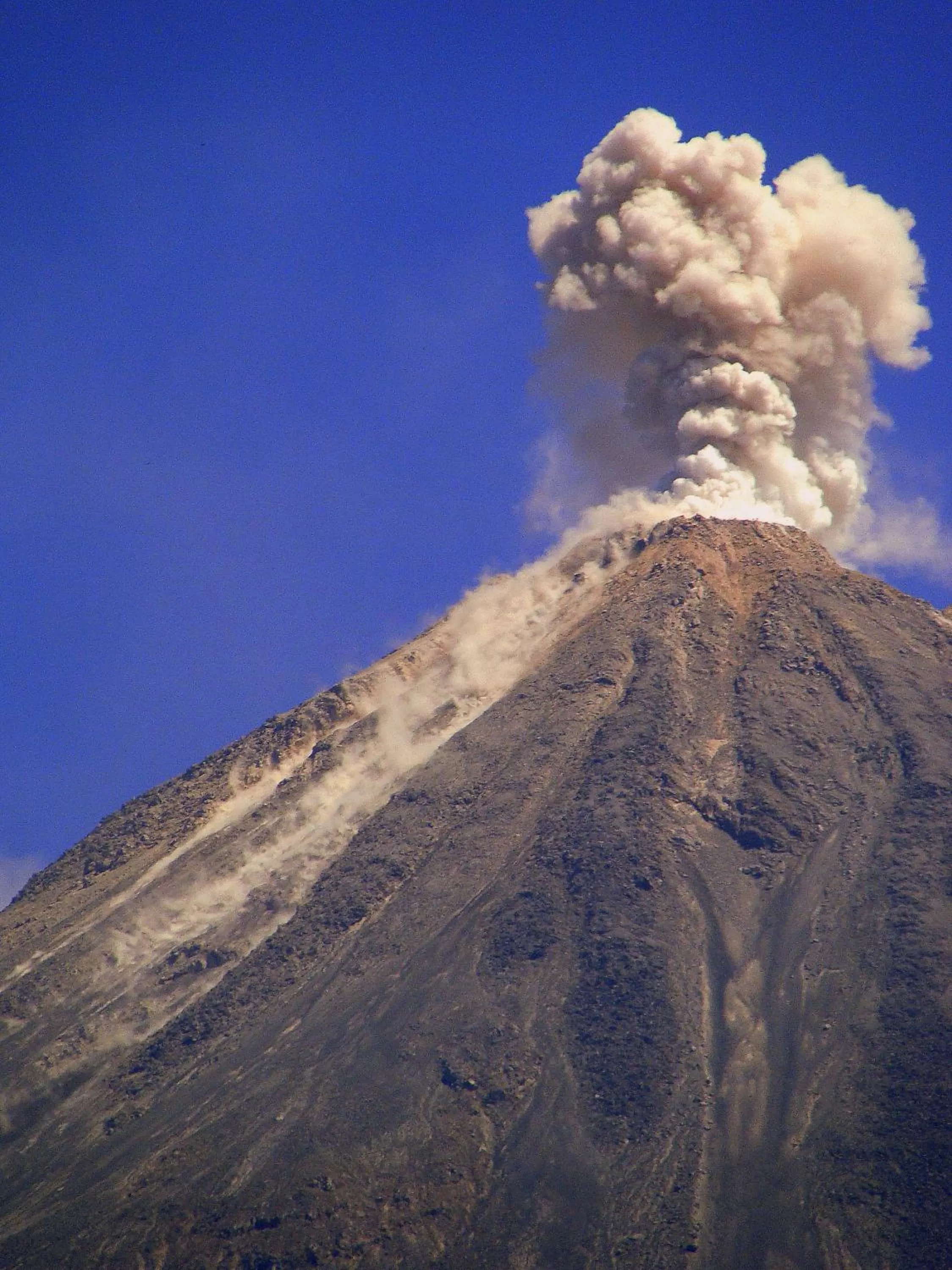 Day in Hotel Casa Alvarada