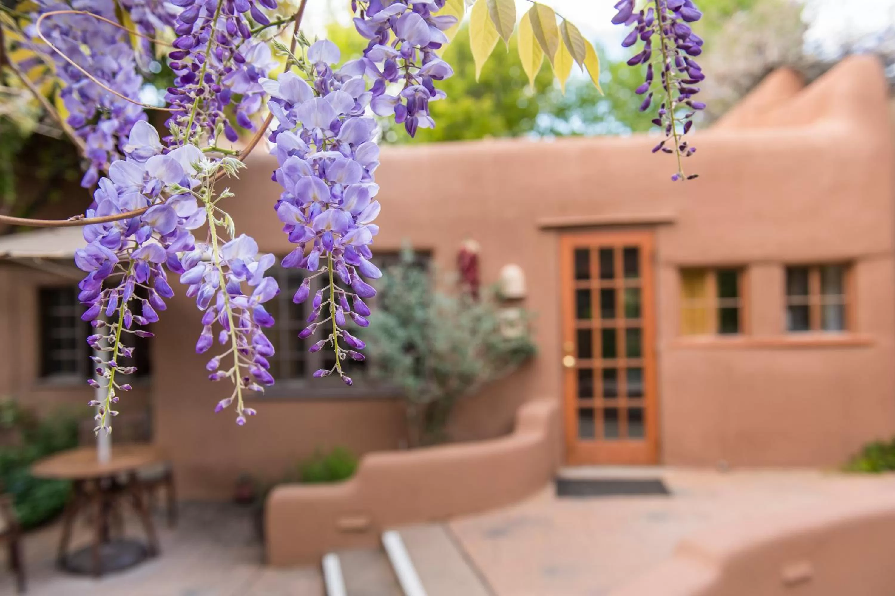 Area and facilities in Inn on the Alameda