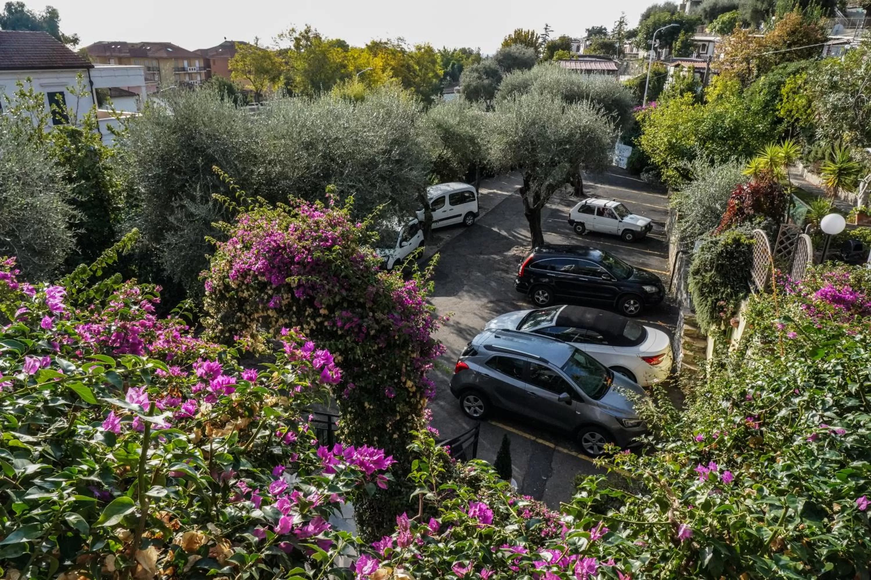 Garden in Hotel Bellavista