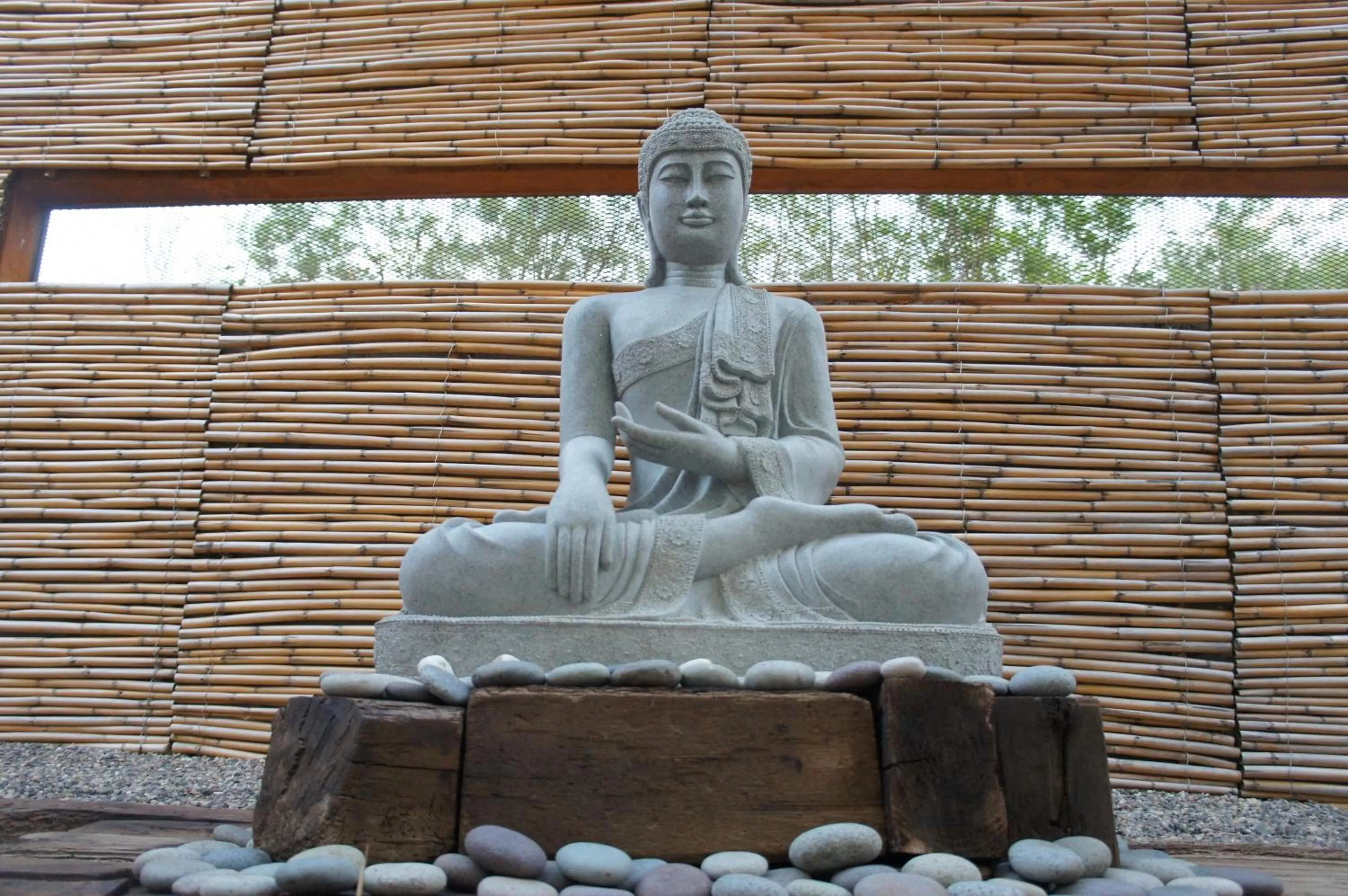Patio in Hotel Cosijo - San Jeronimo Tlacochahuaya