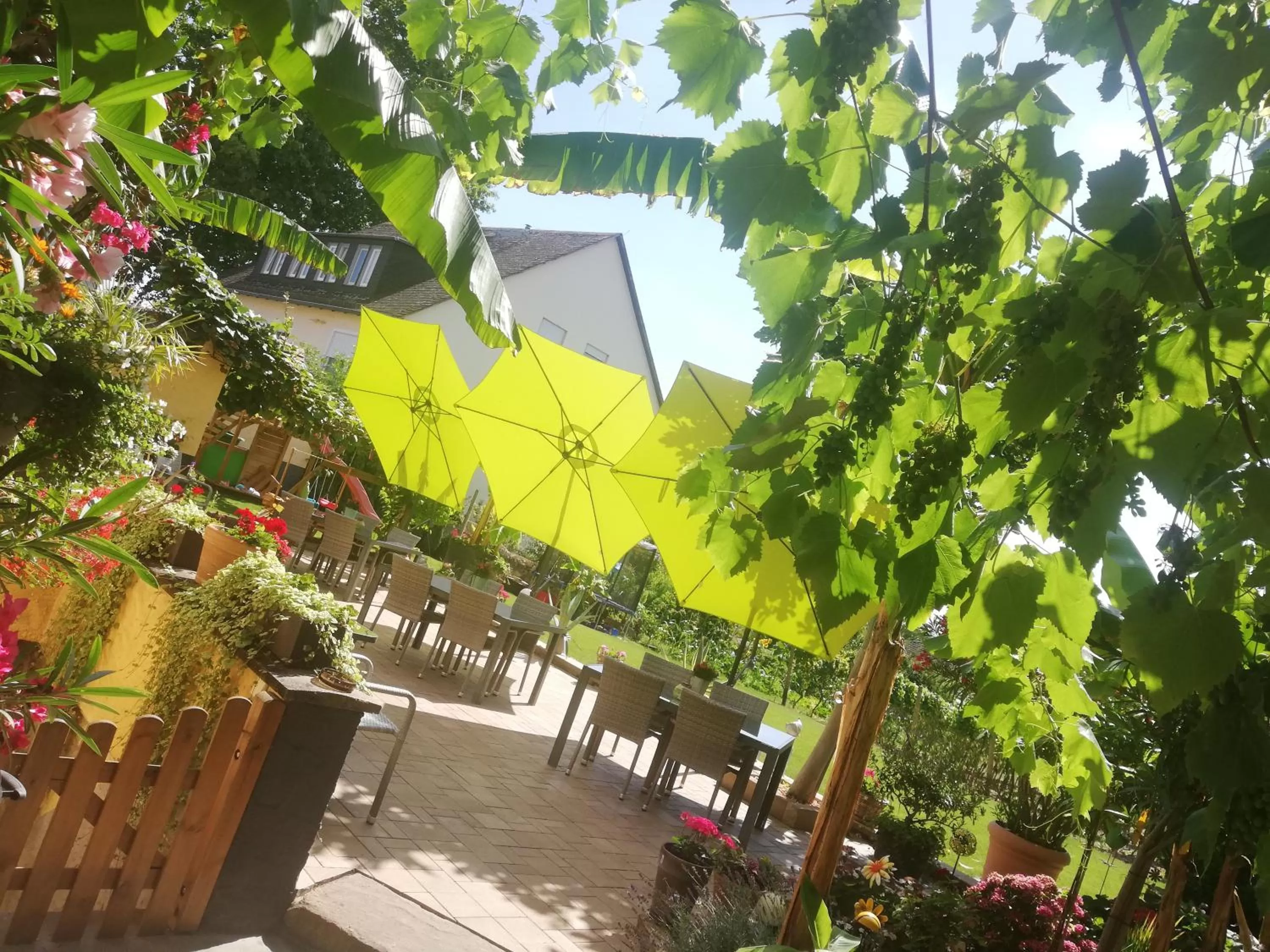 Garden in Bed and Breakfast - Rheingauer Hof