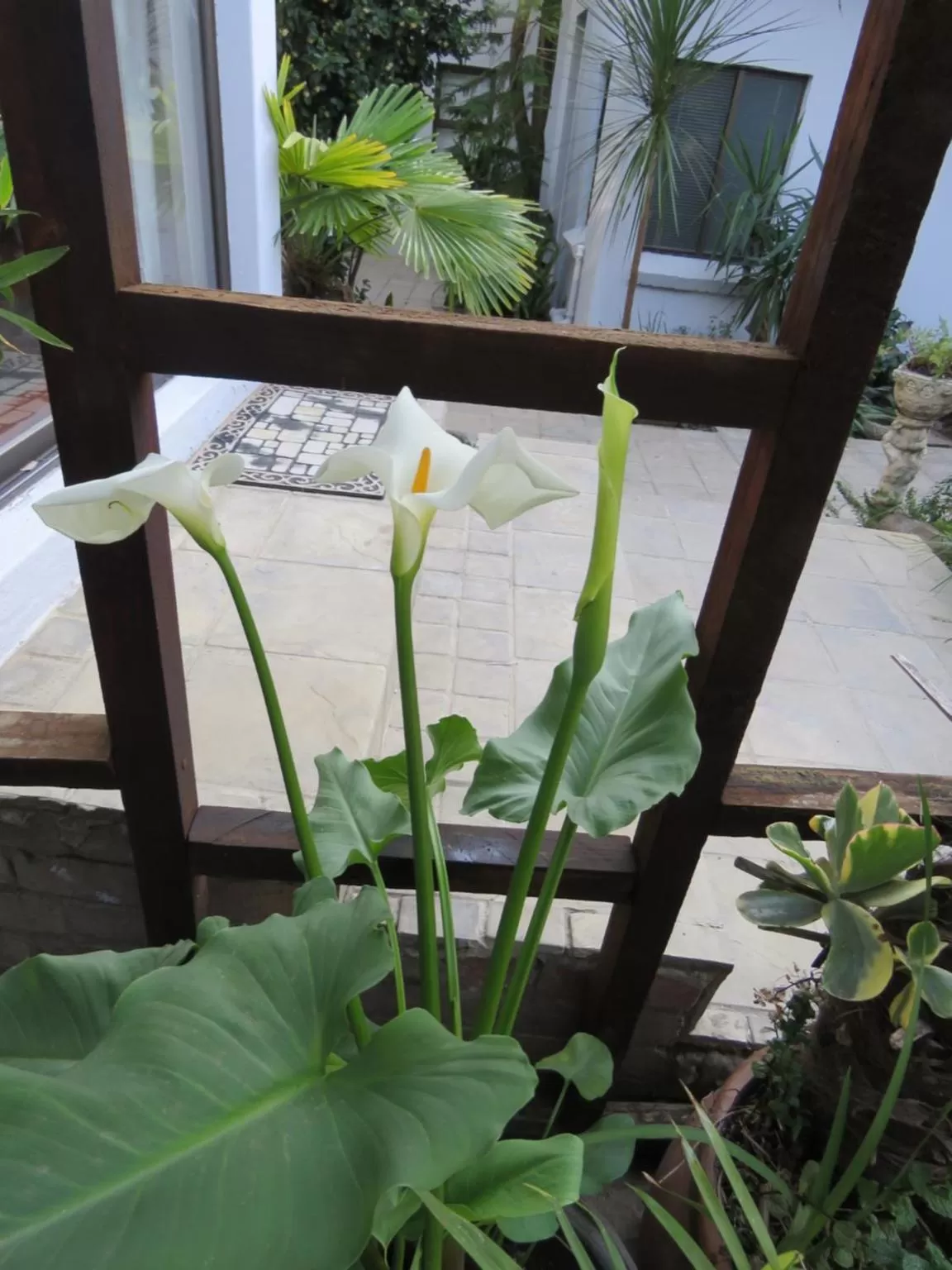 Facade/entrance in Jedidja Bed and Breakfast