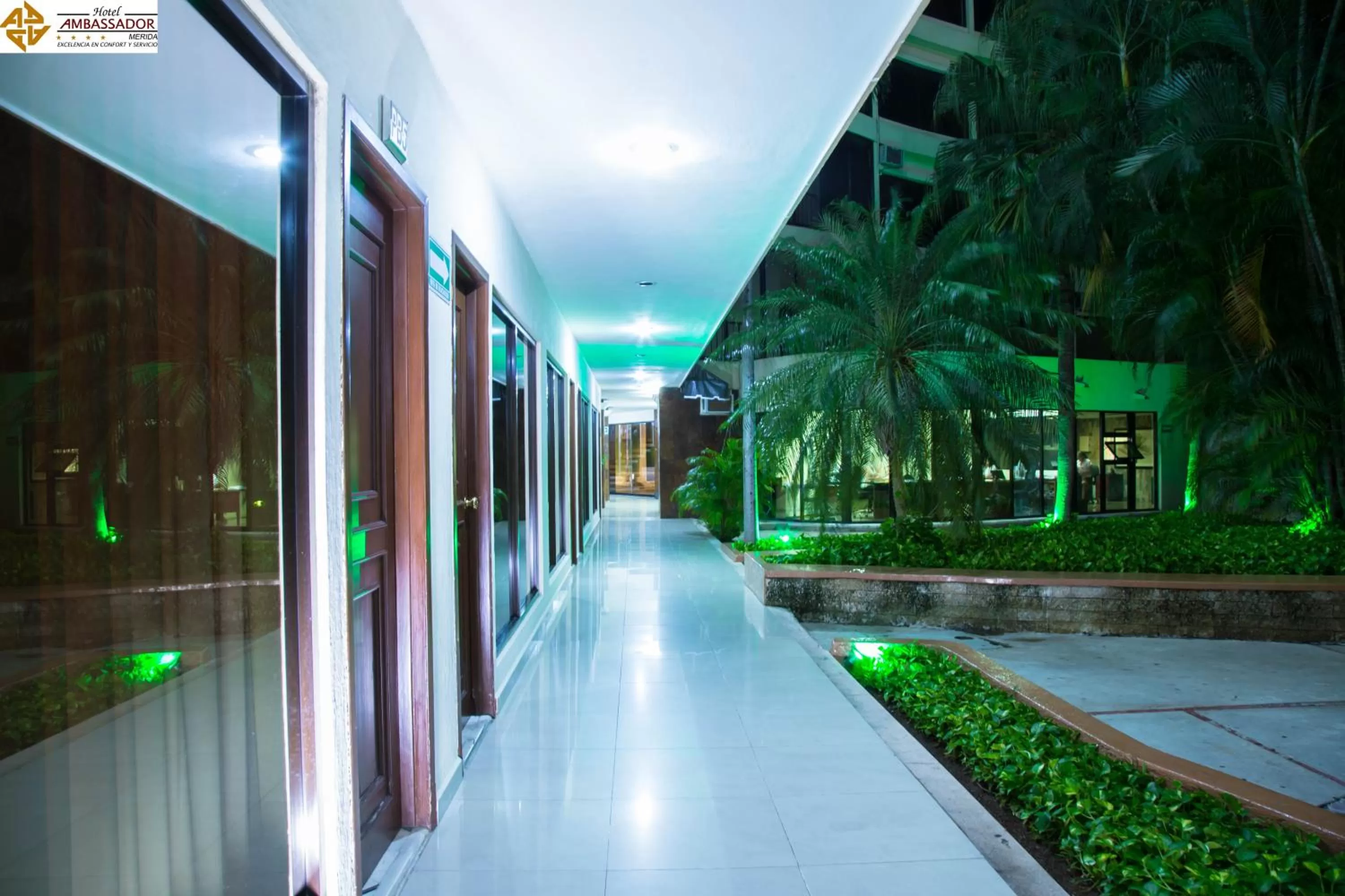 Garden in Hotel Ambassador Mérida