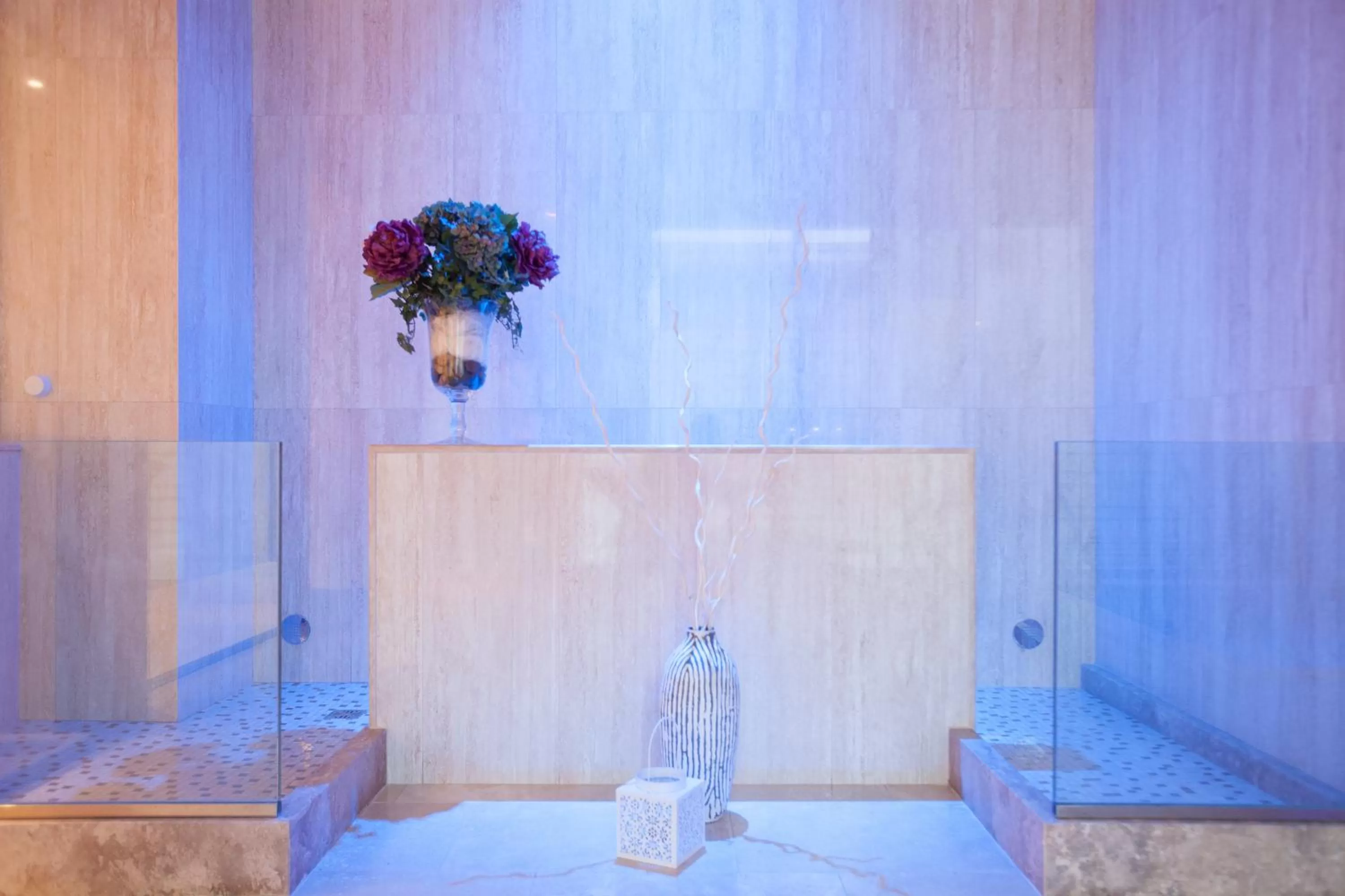 Spa and wellness centre/facilities in Mh Florence Hotel & Spa