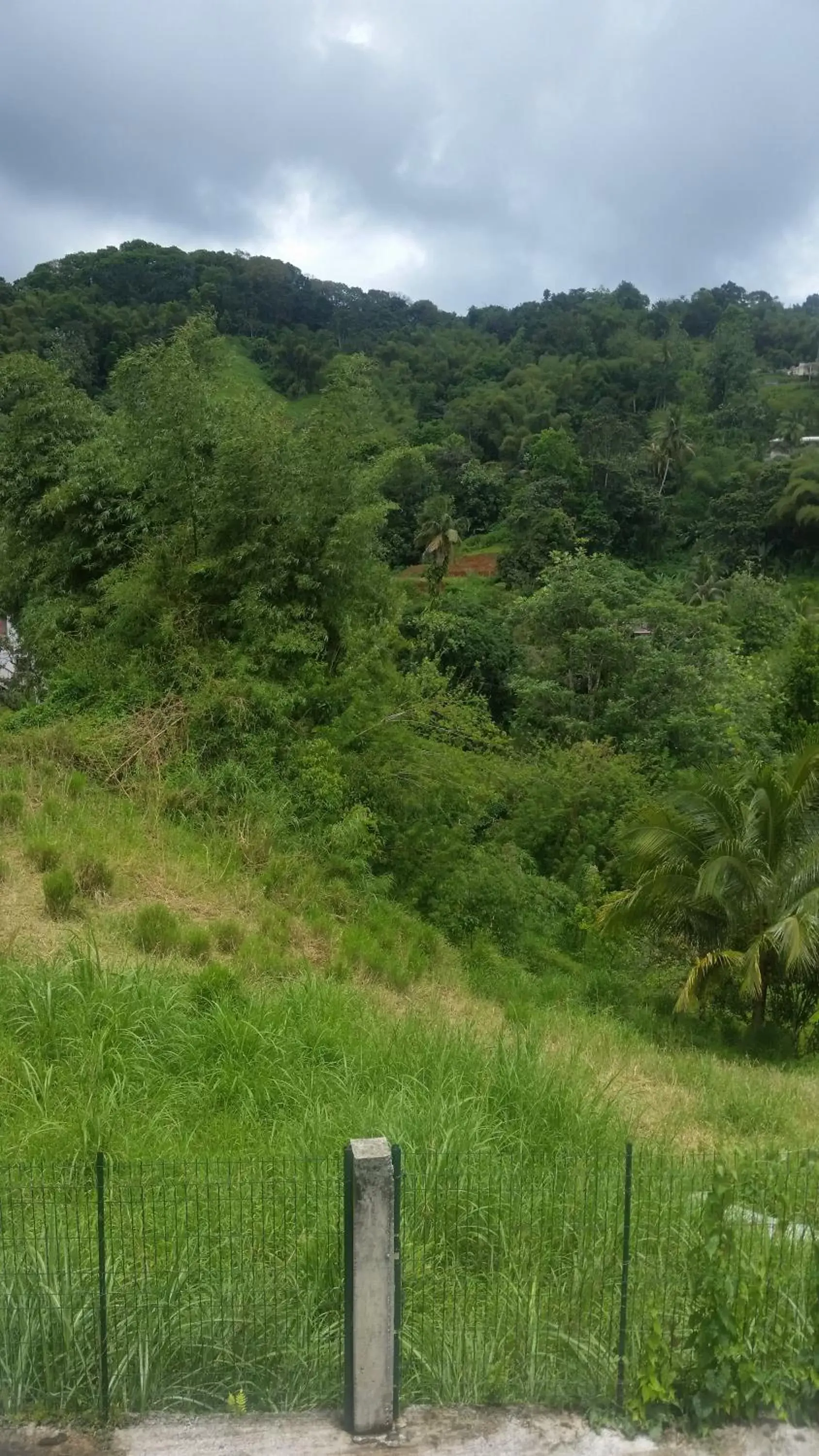 Quadruple Room with Garden View in L'Oliveraie Quadruple Room with Garden View in L'Oliveraie