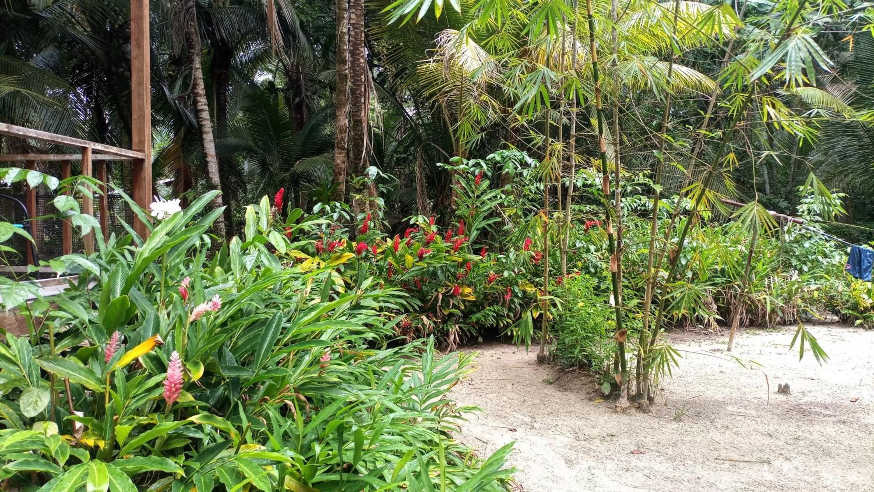 Garden in Tierra Verde Bed & Breakfast