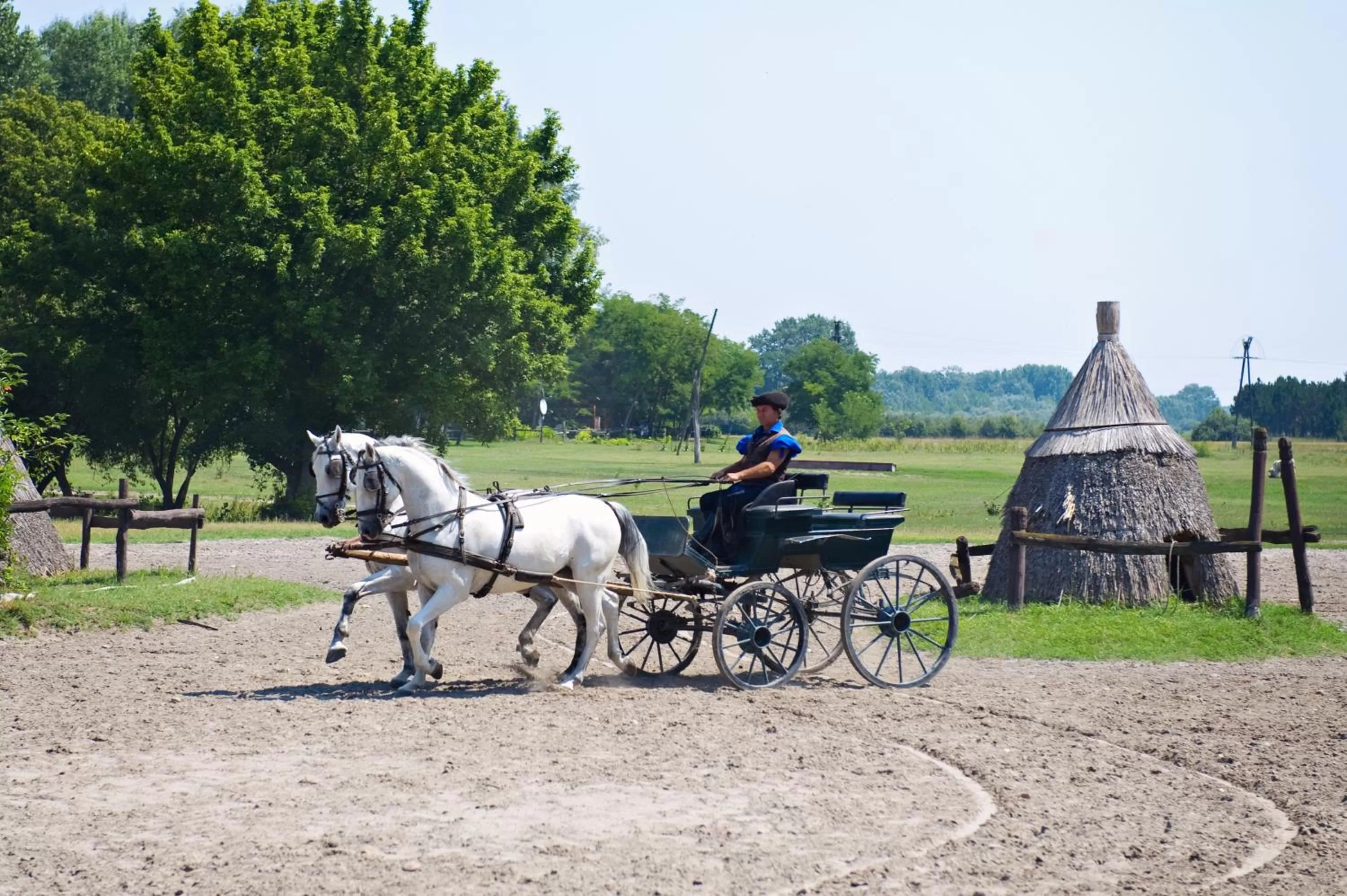 Day, Horseback Riding in Varga Tanya Hotel