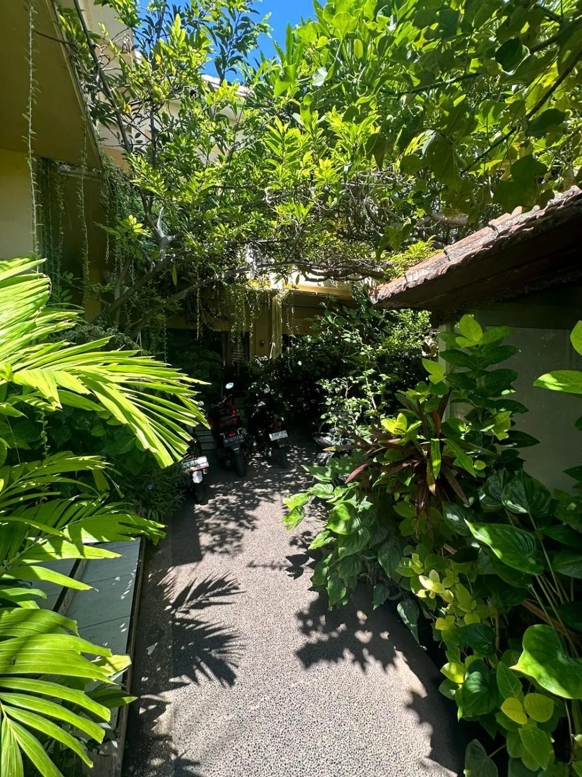 Natural landscape in Sari Buana Bed & Breakfast