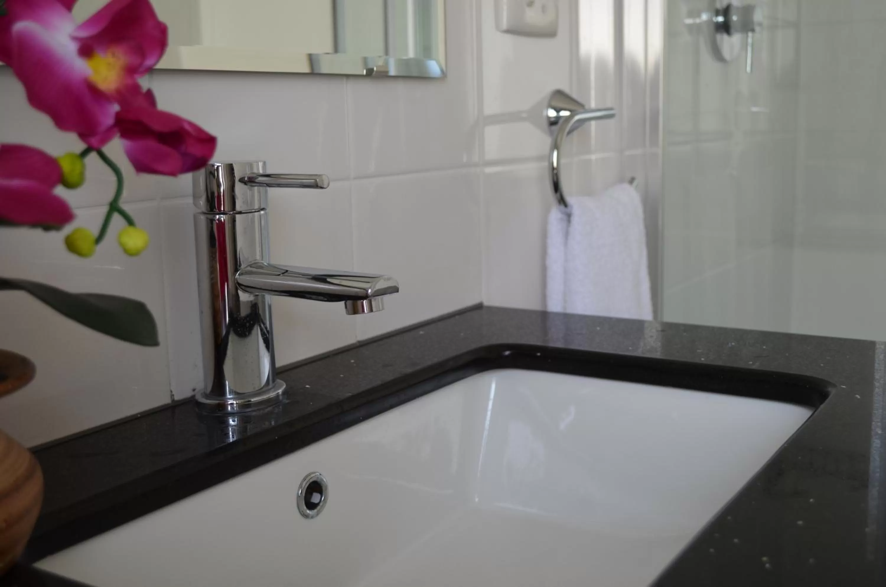 Bathroom in Ellard Bed & Breakfast