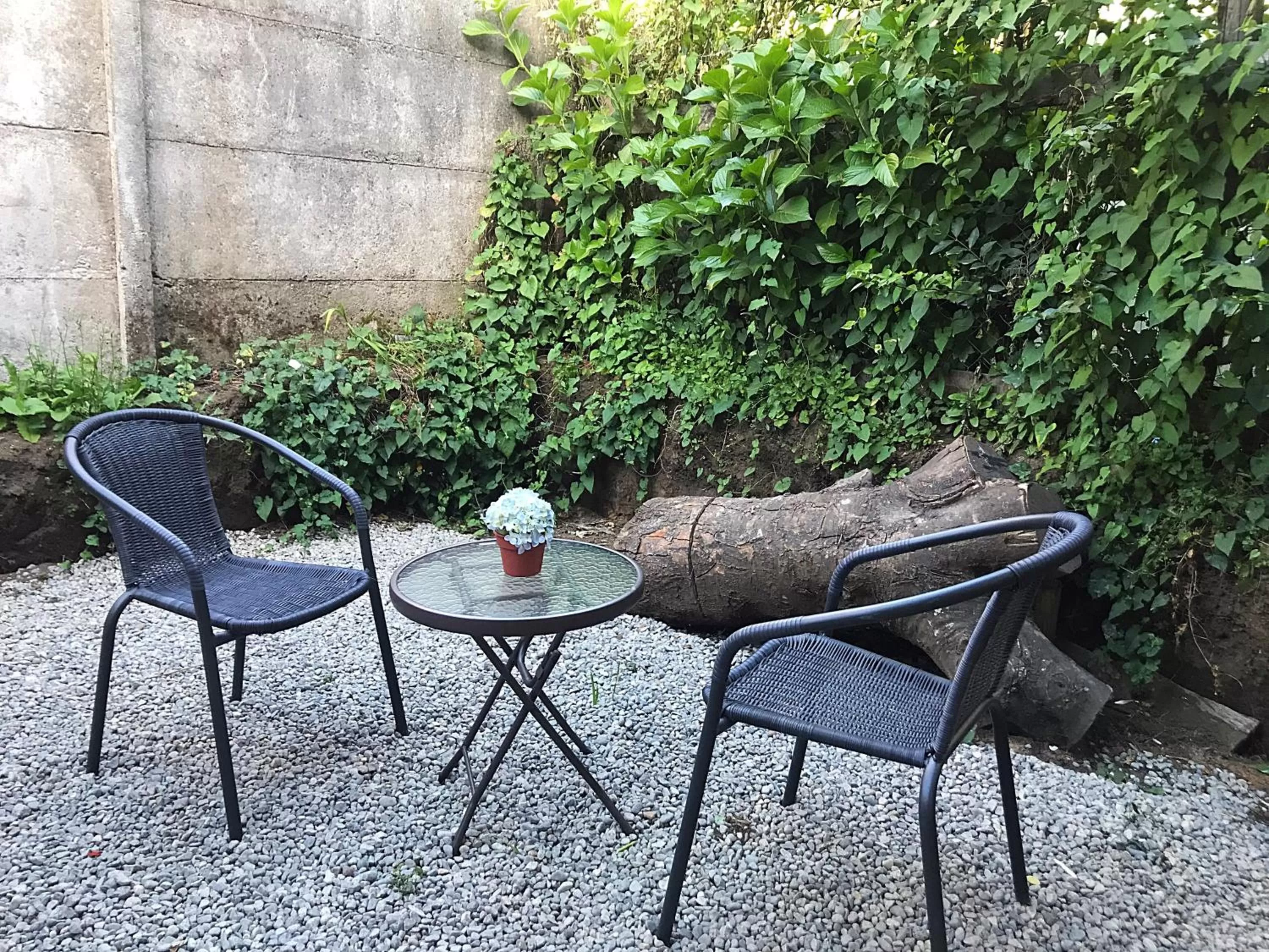 Garden in Hotel 381 Panguipulli