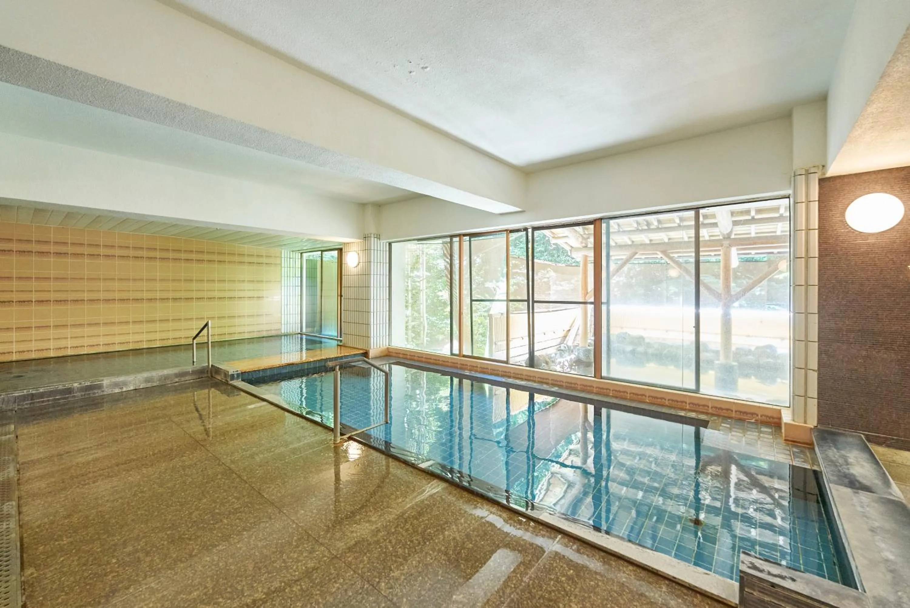 Public Bath, Swimming Pool in Hakone Yumoto Hotel
