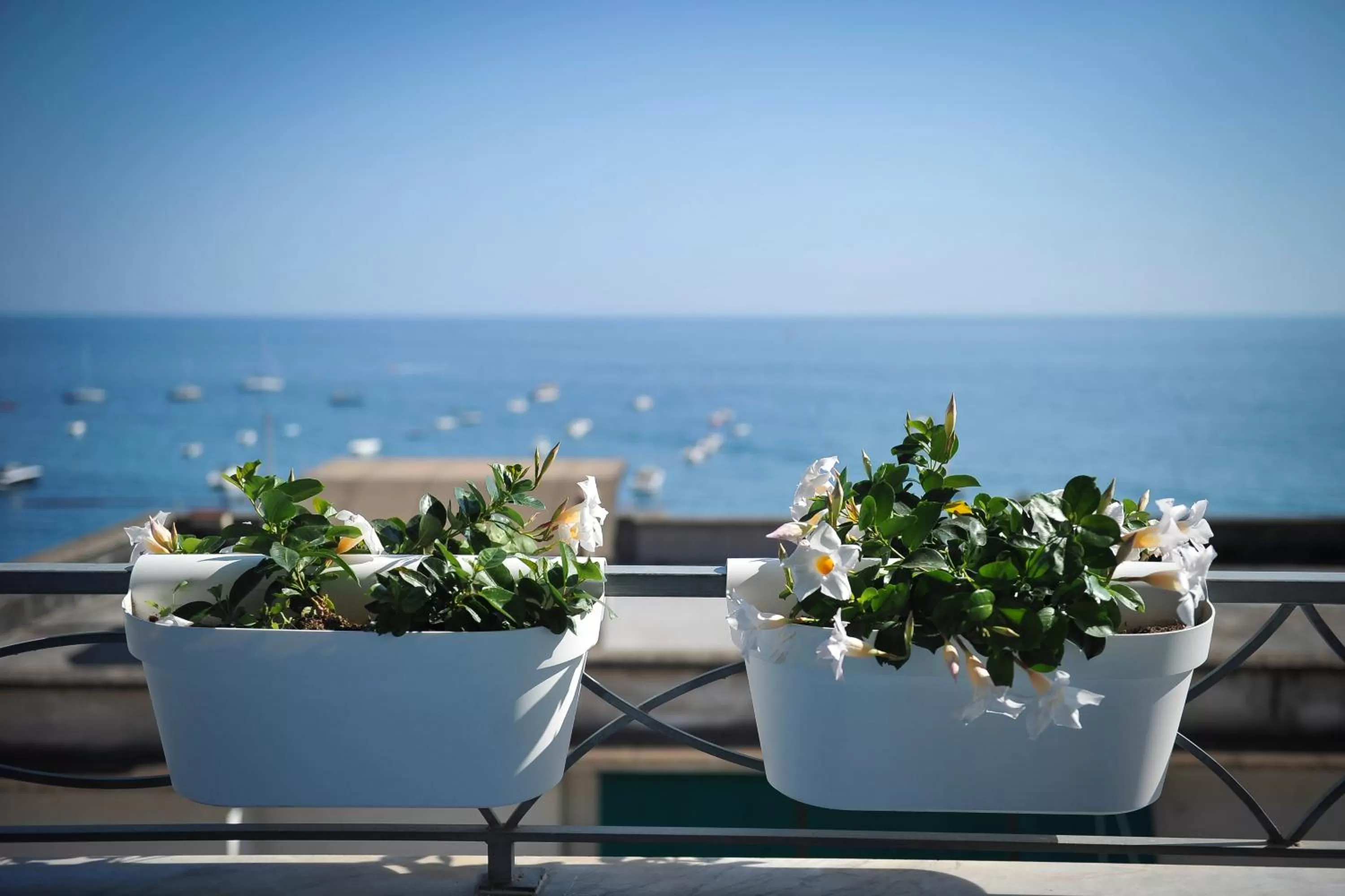 Sea view in Residence Panoramic