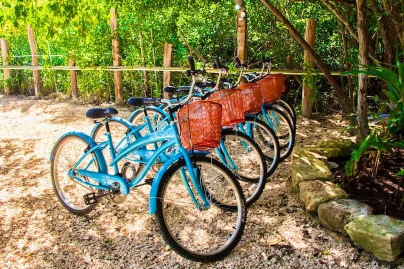 Activities in Suites Tulum