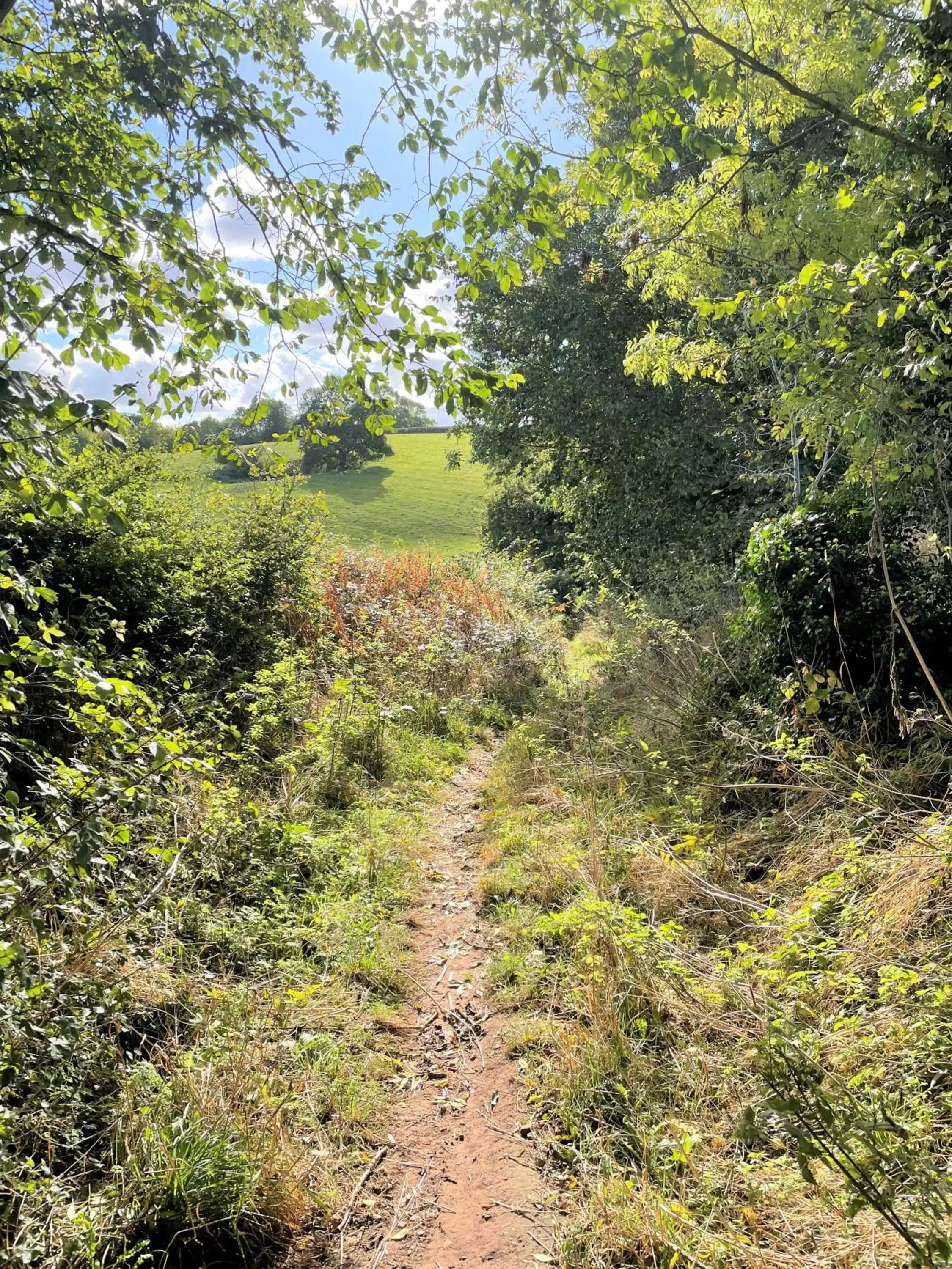 Activities in Eagle House - Award Winning B&B and Apartment